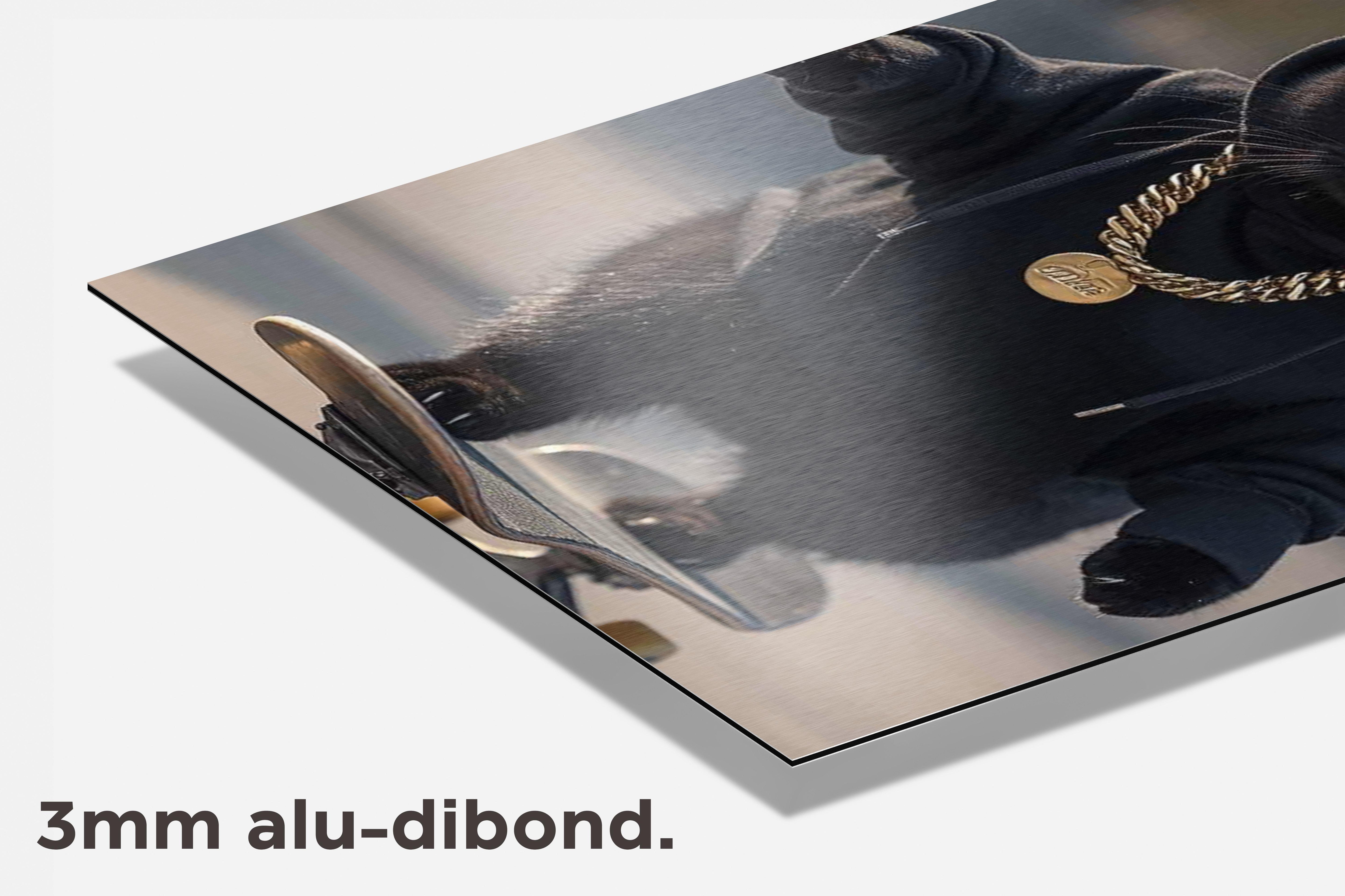 Kat Skateboardend dibond detail
