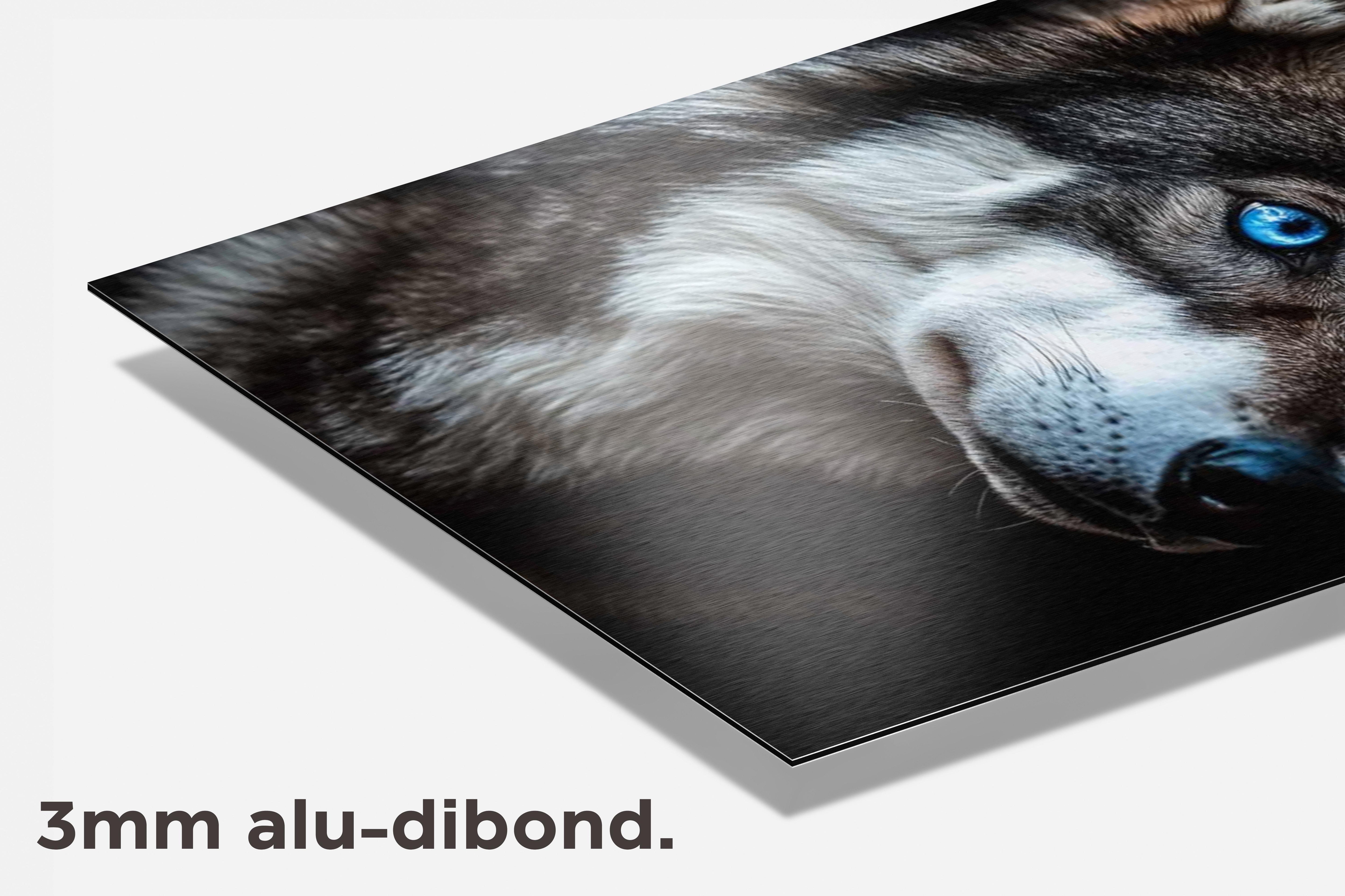 Wolf Ogen dibond detail