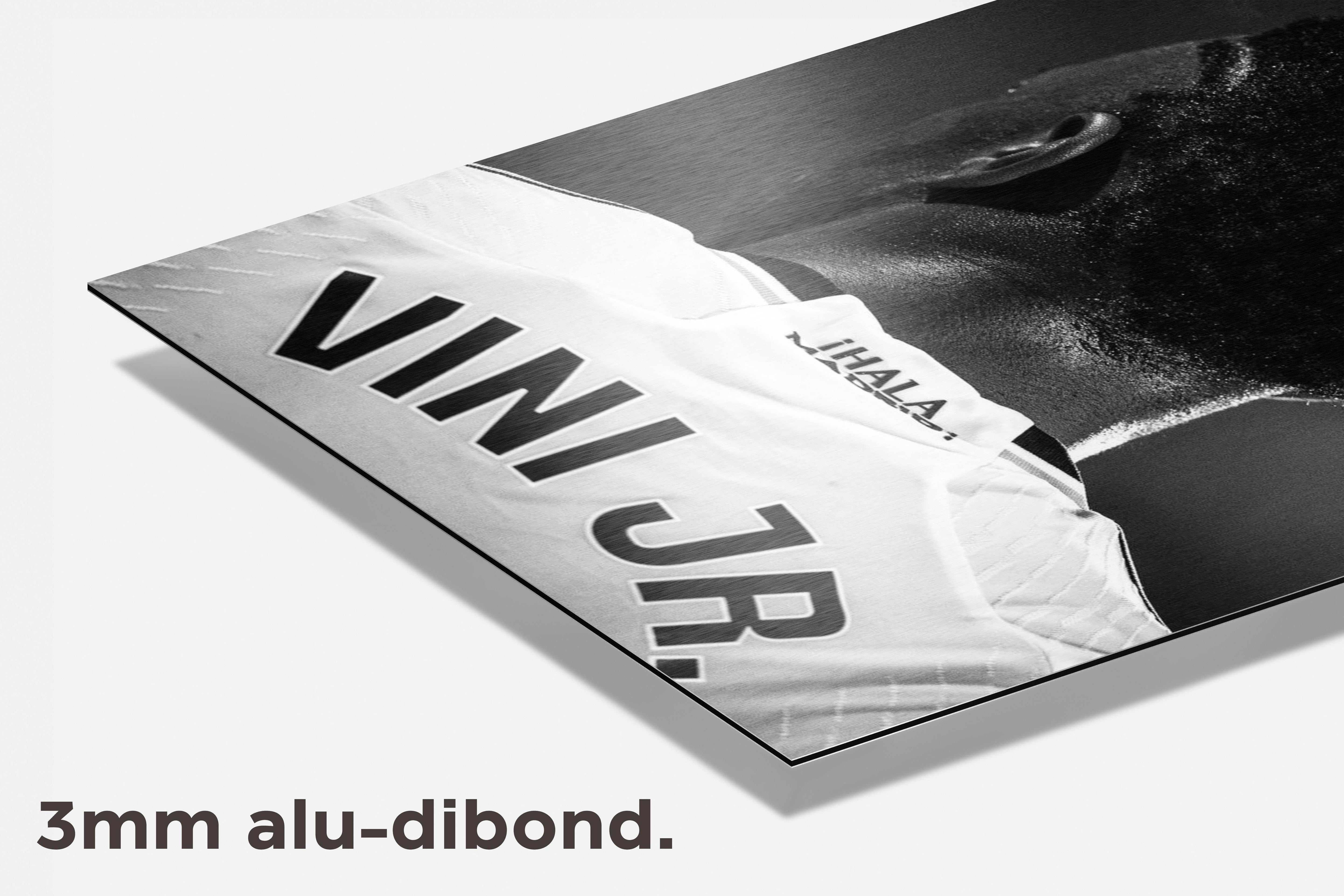 Vini Jr Zwart Wit dibond detail