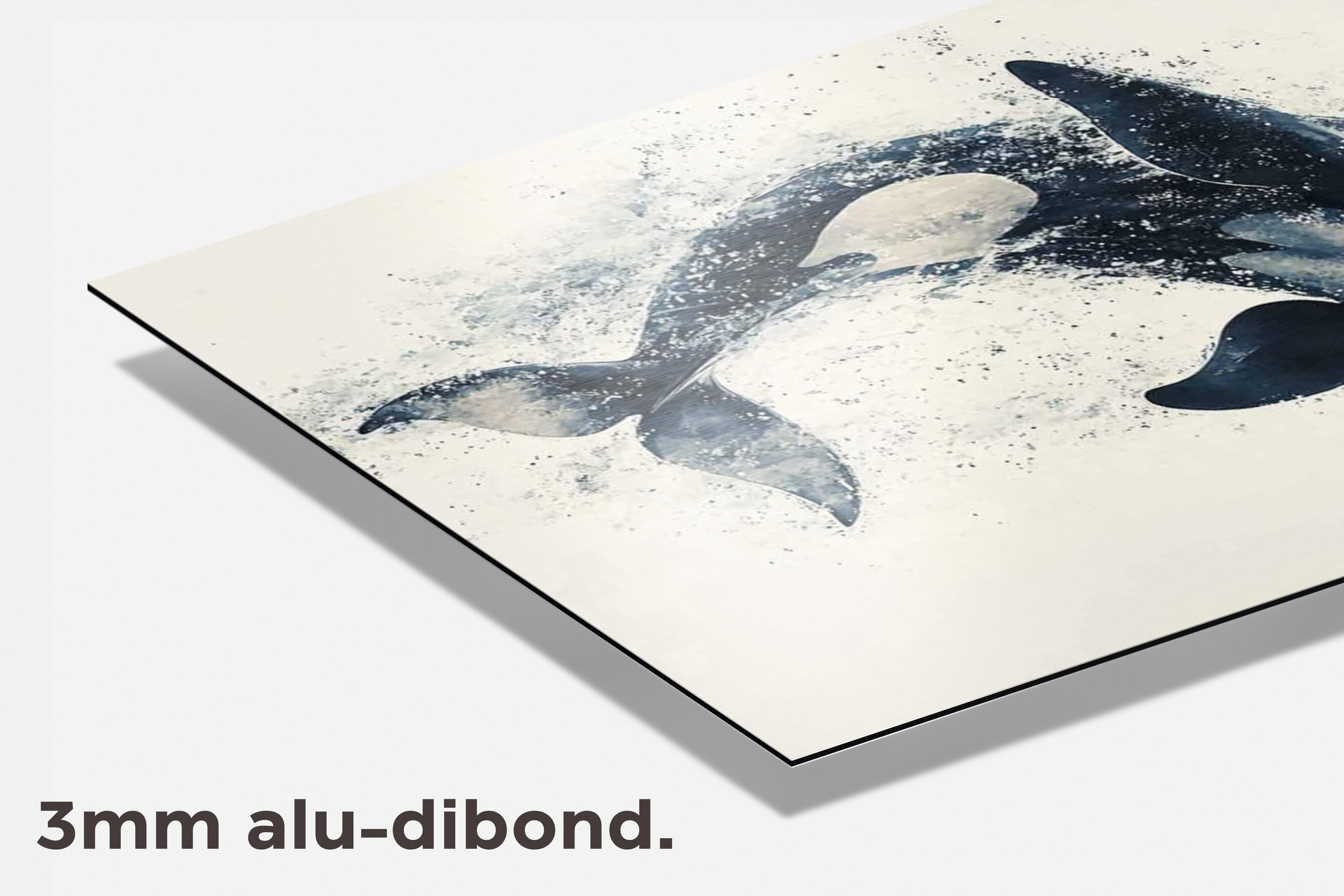 Orka dibond detail