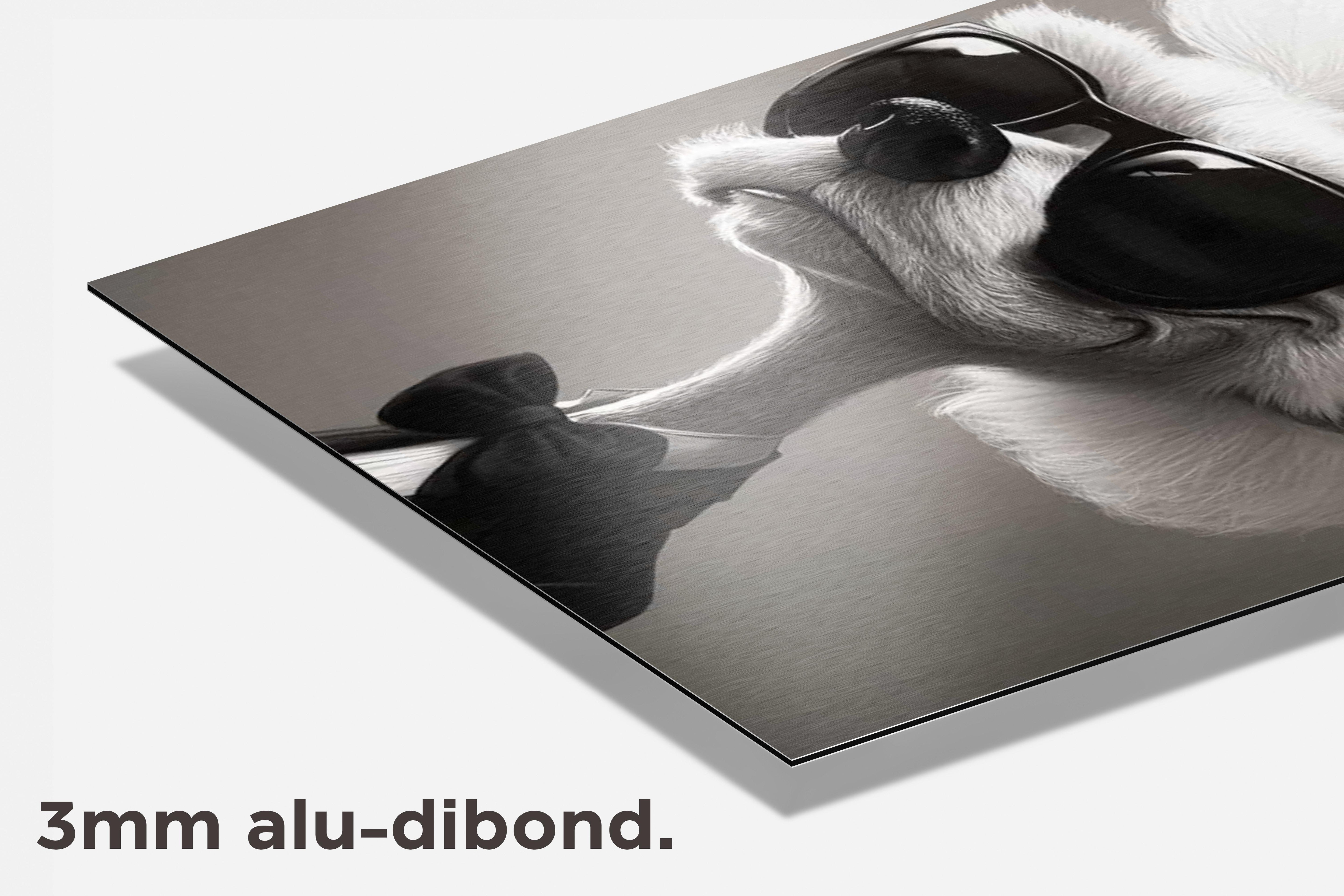 Karl Lagerfeld Hond dibond detail