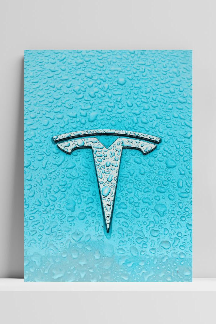 Tesla Logo op 3mm aluminium dibond