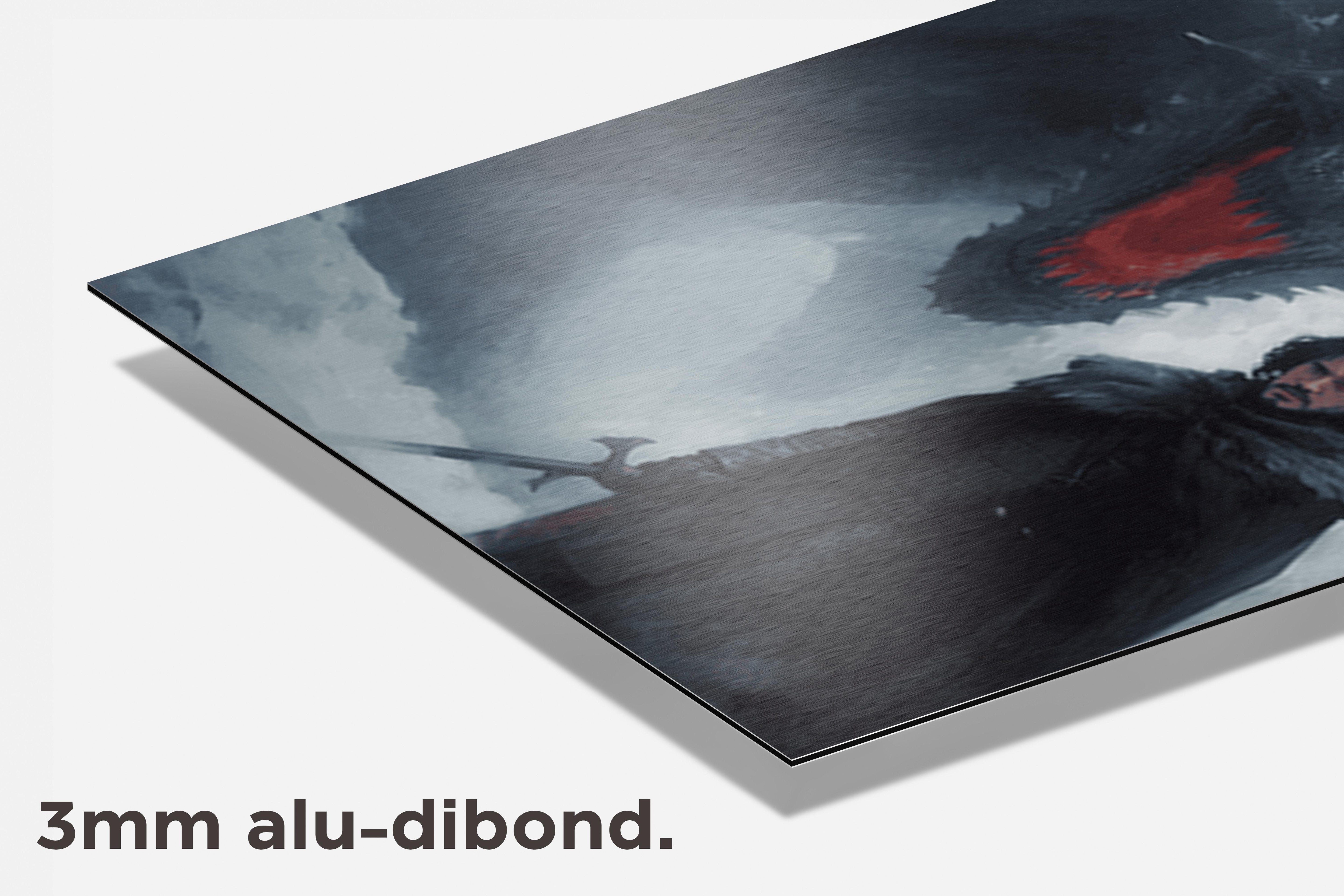 John Snow Draak dibond detail