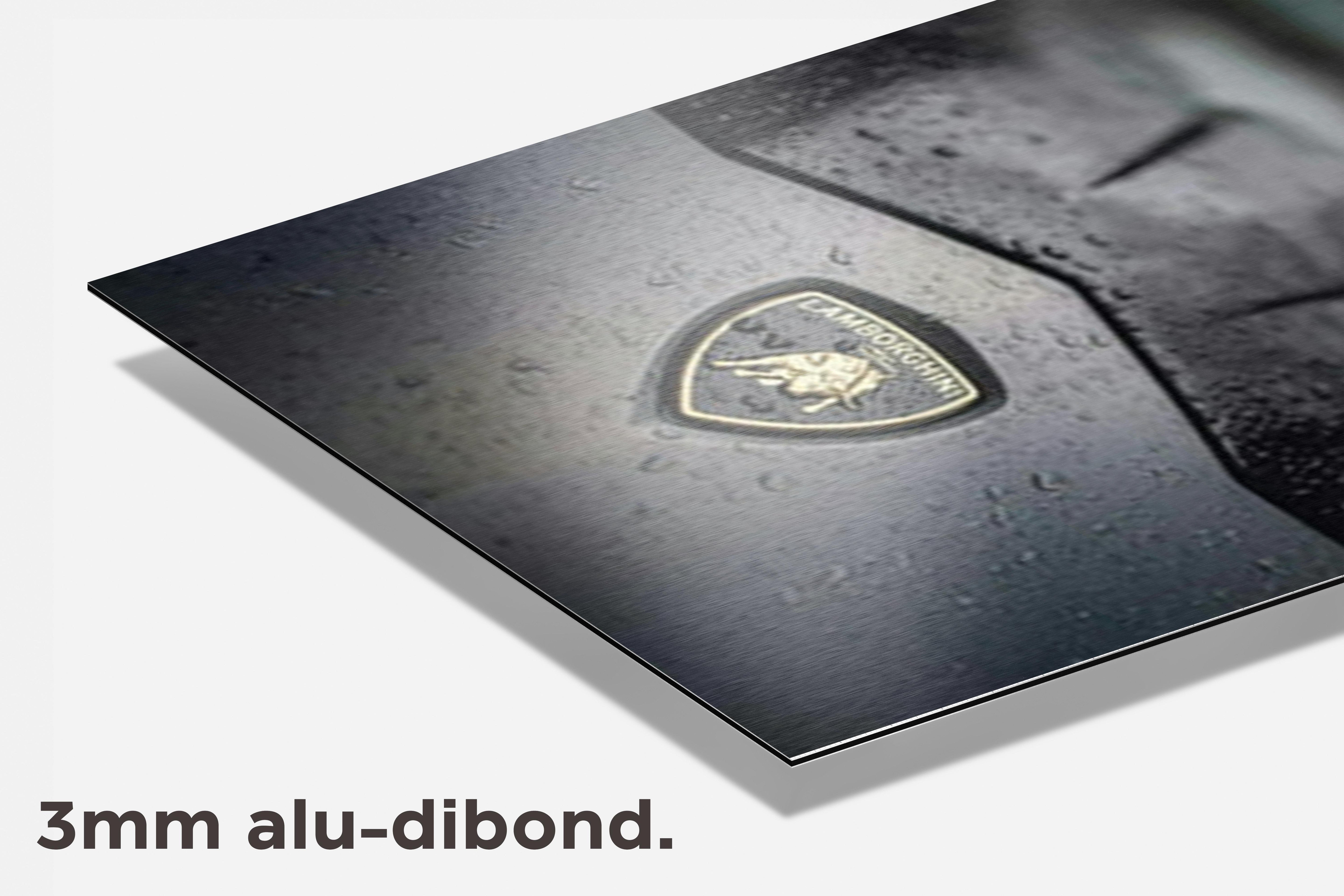 Lambo Autologo dibond detail