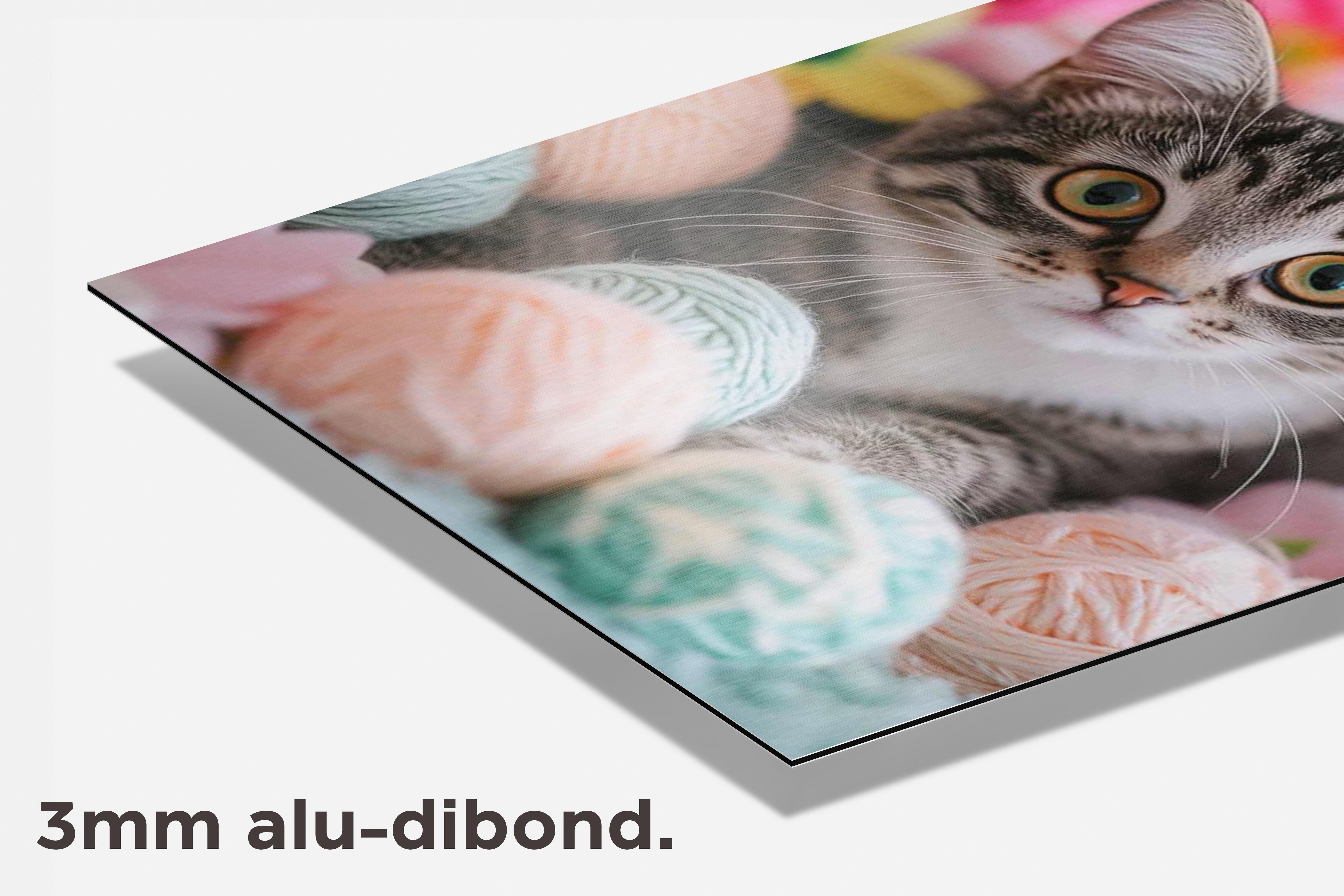 Kat Bal Draden dibond detail