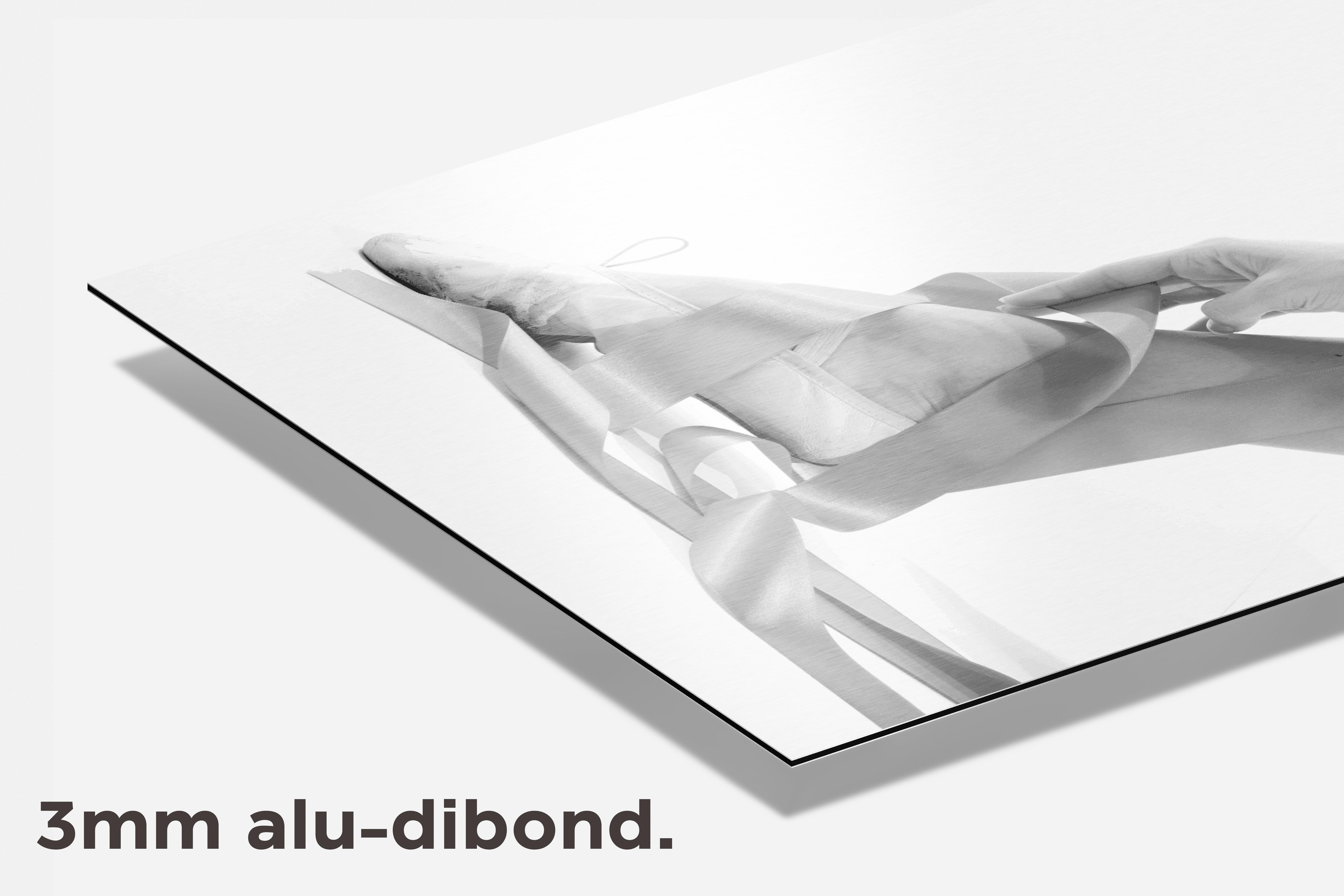 Ballerinavoet dibond detail