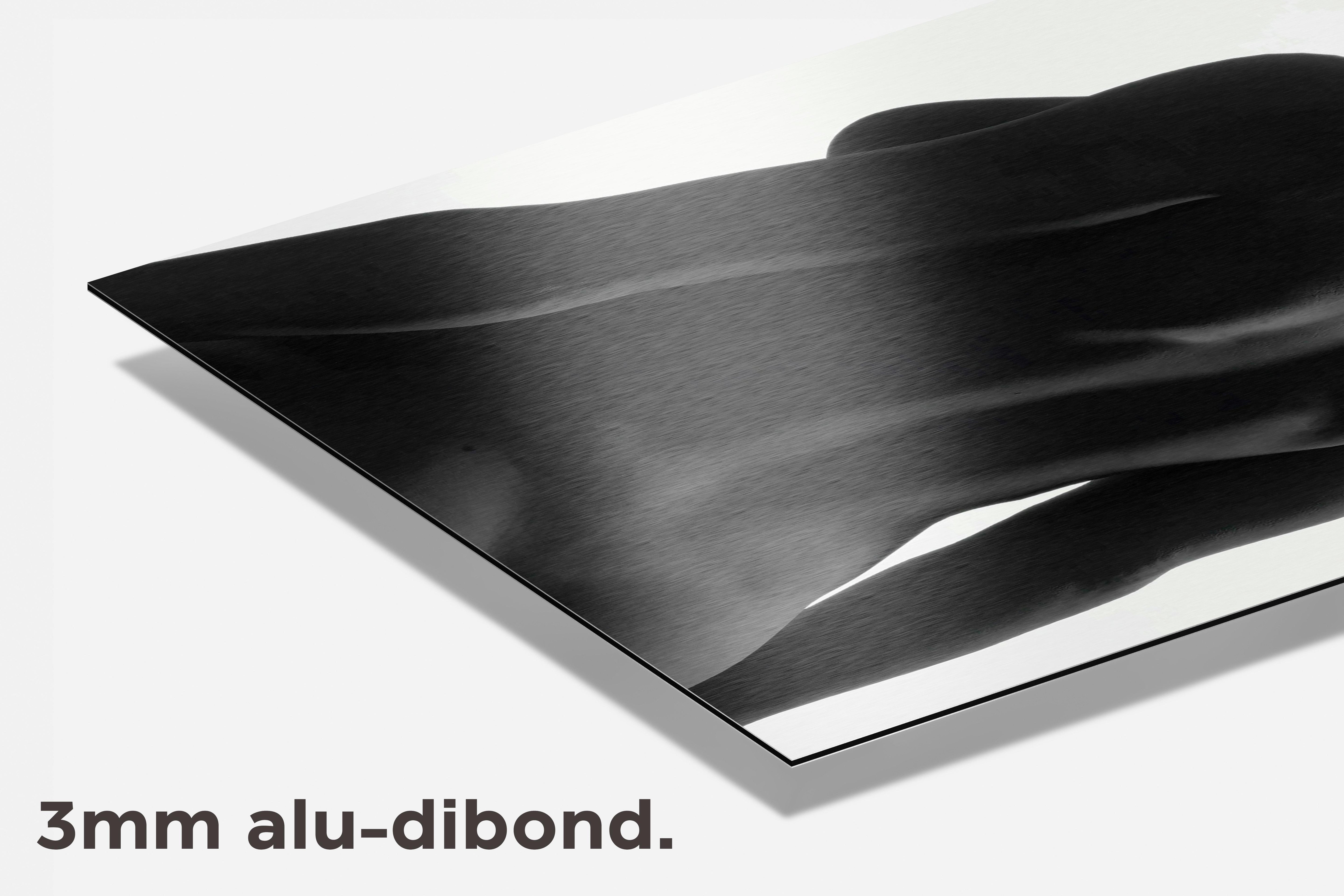 Silhouette dibond detail