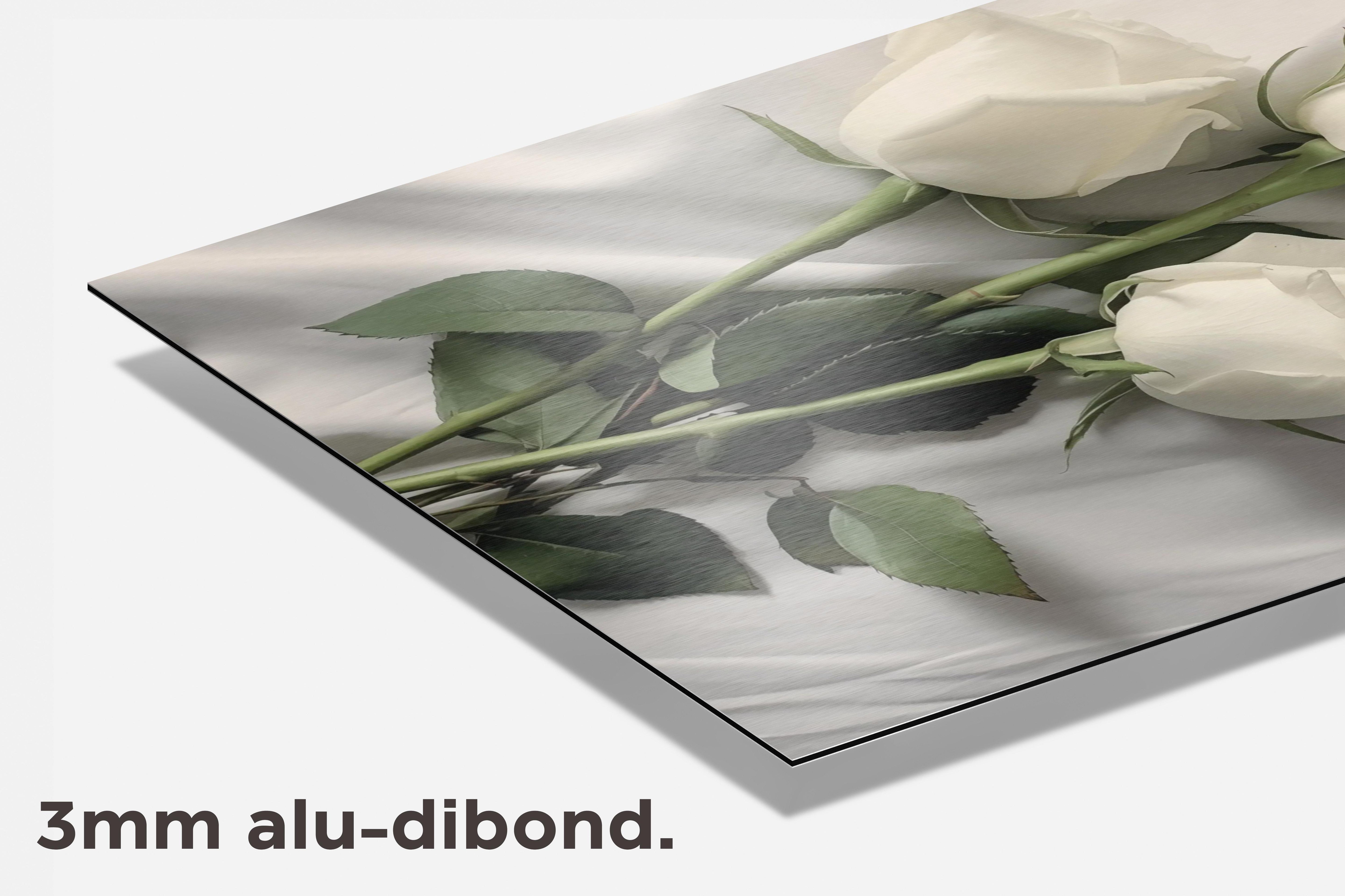 Witte Rozen dibond detail