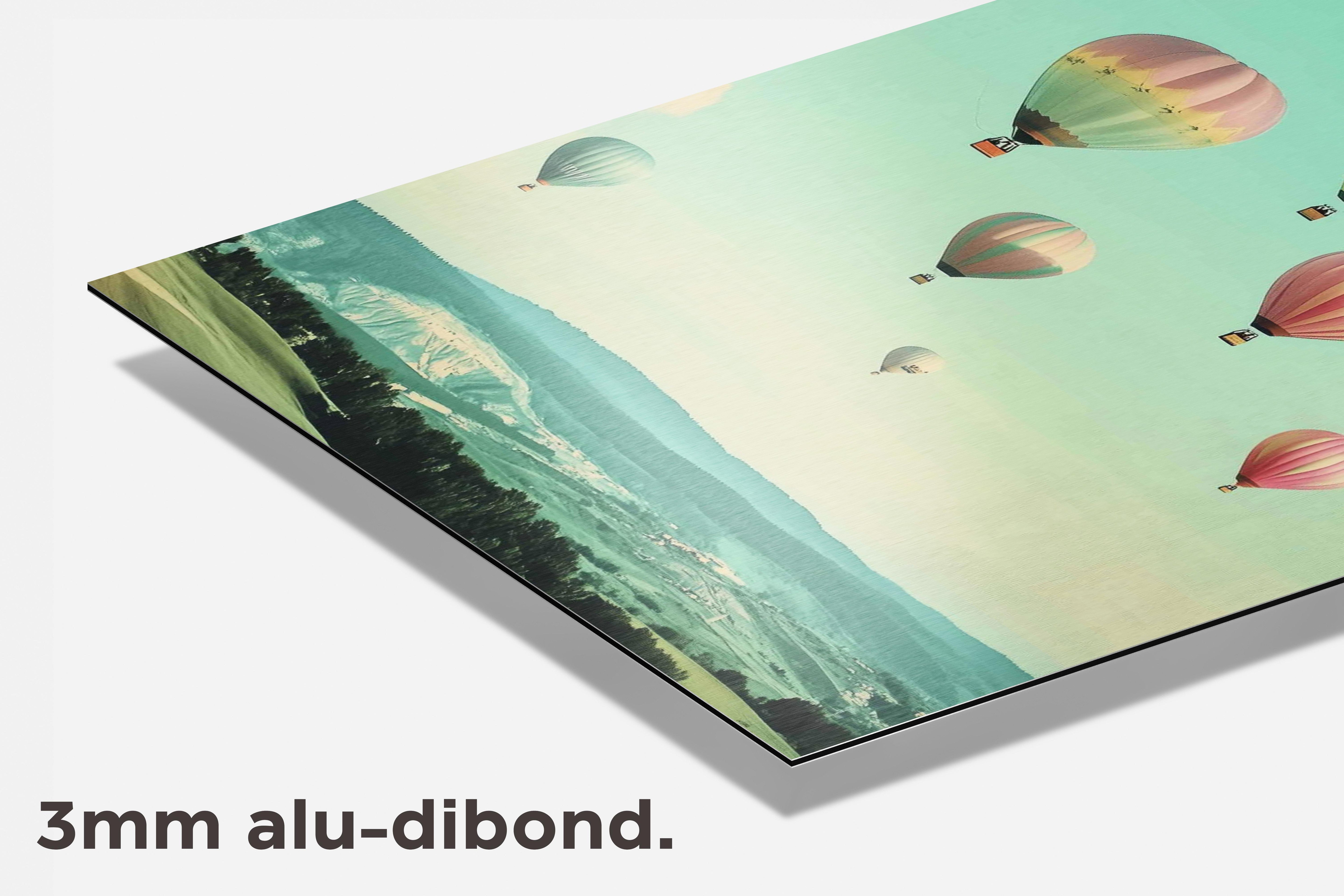 Hete Luchtballon dibond detail