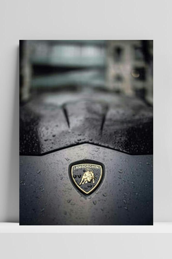 Lambo Autologo op 3mm aluminium dibond