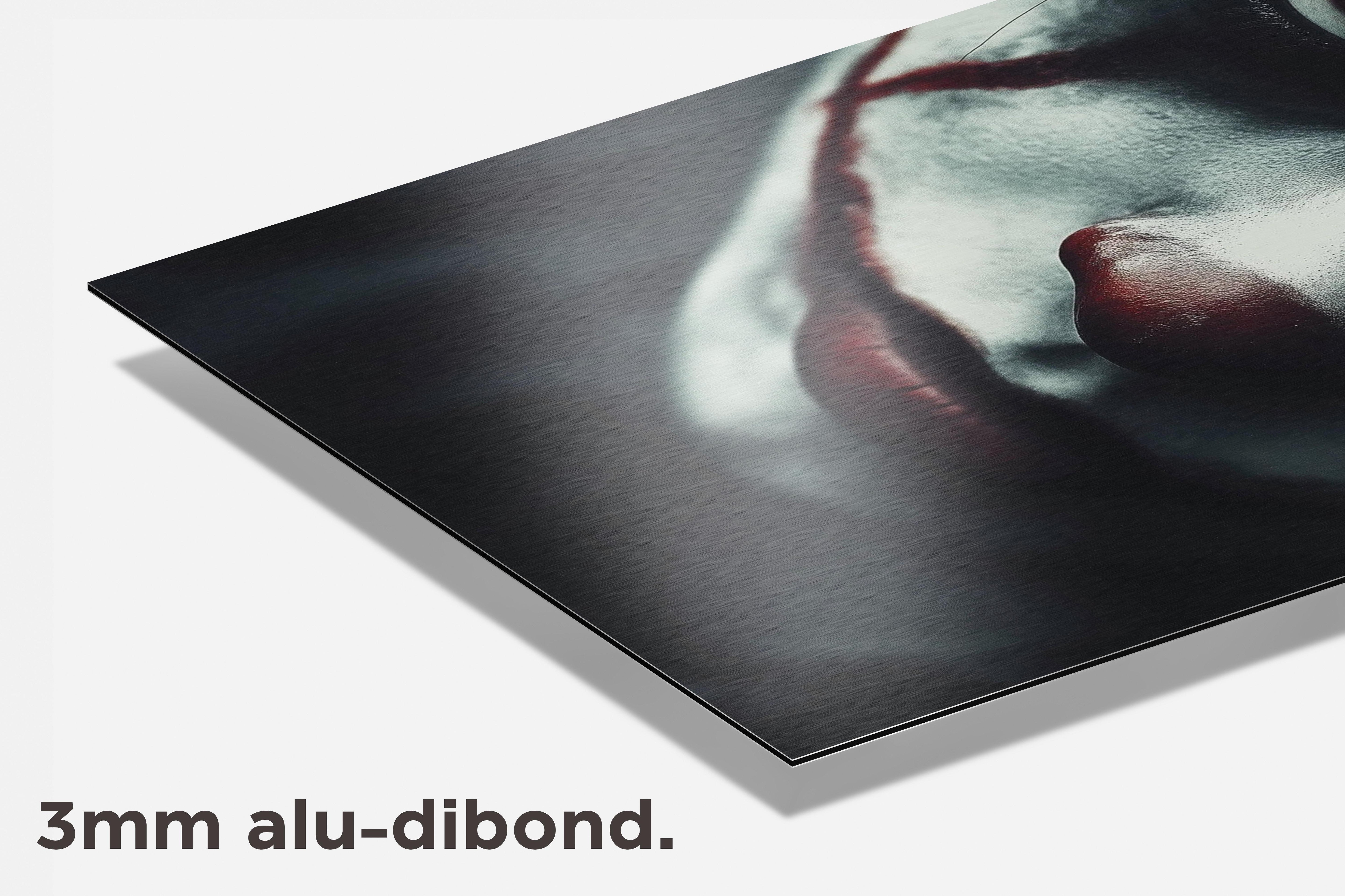 Enge Clown dibond detail