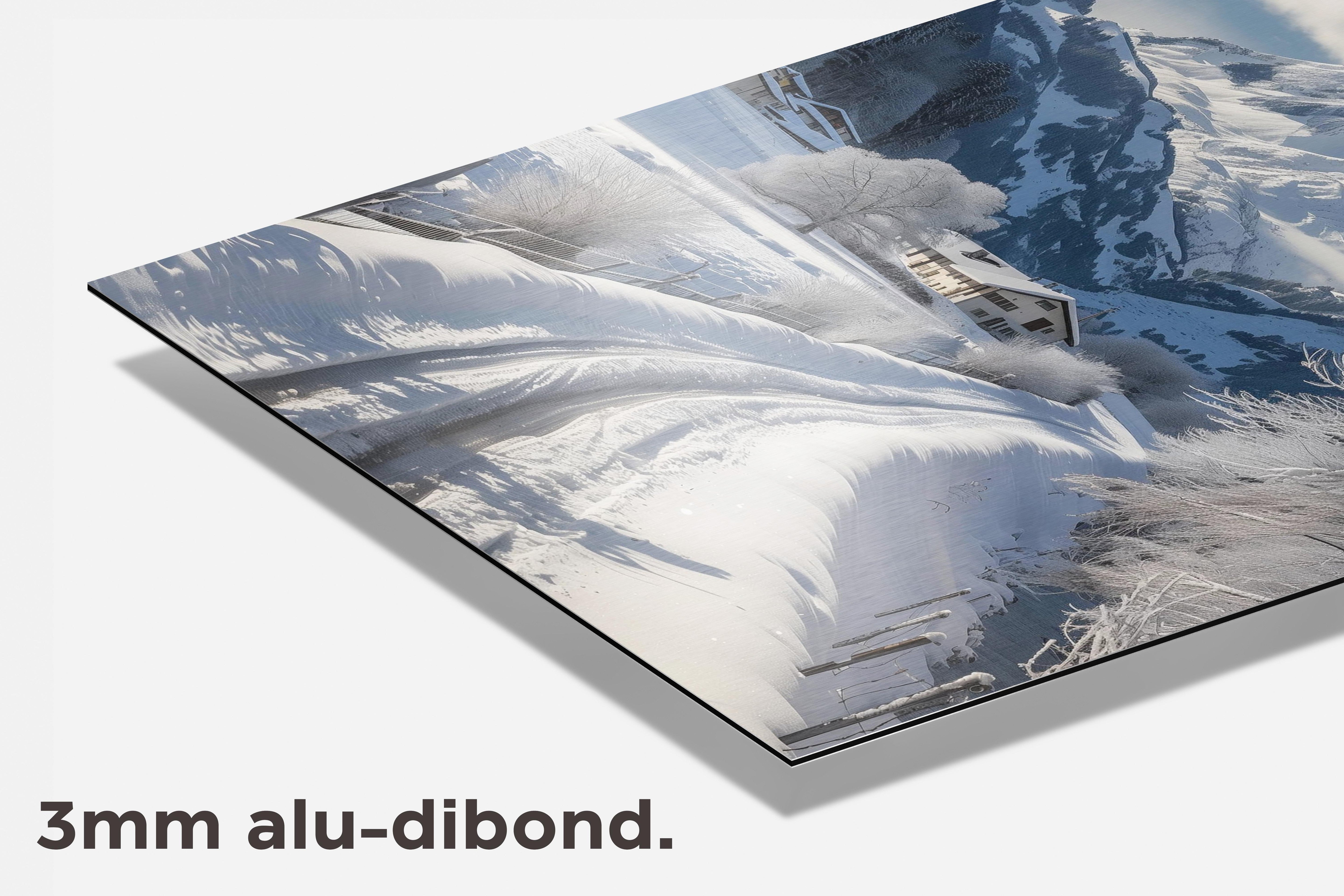 Zwitserland Sneeuw dibond detail
