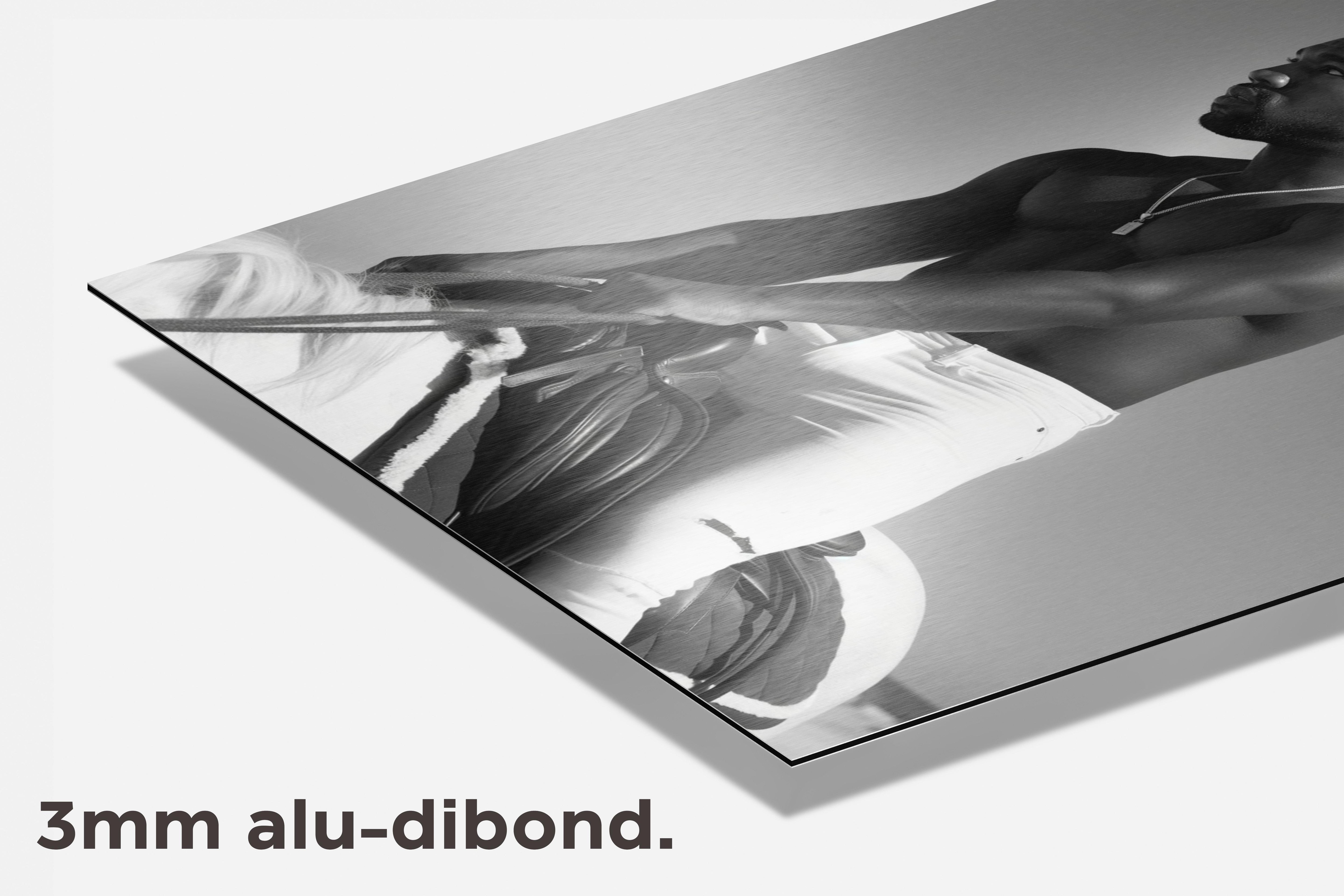 Kanye West te Paard dibond detail