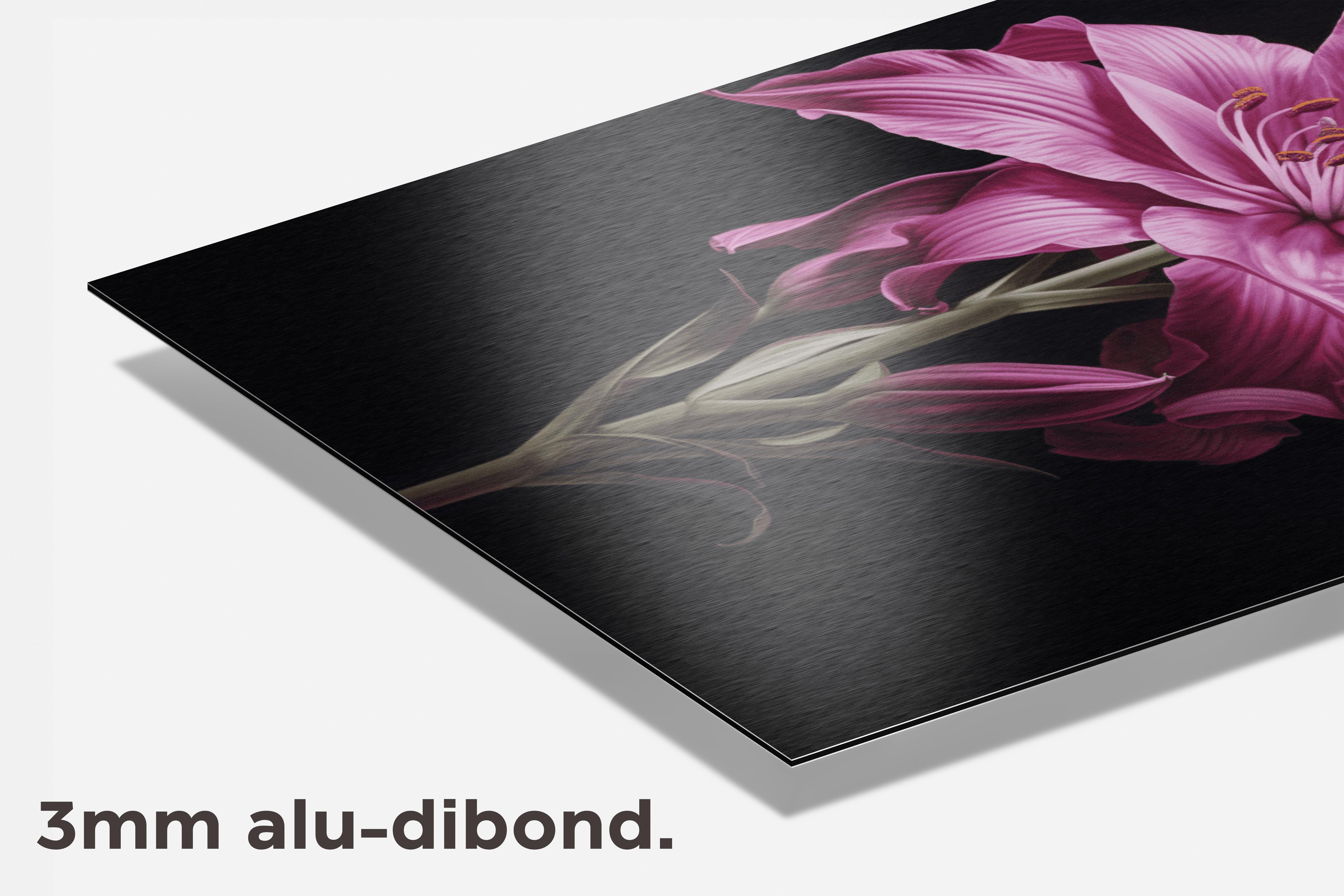 Roze Bloem dibond detail