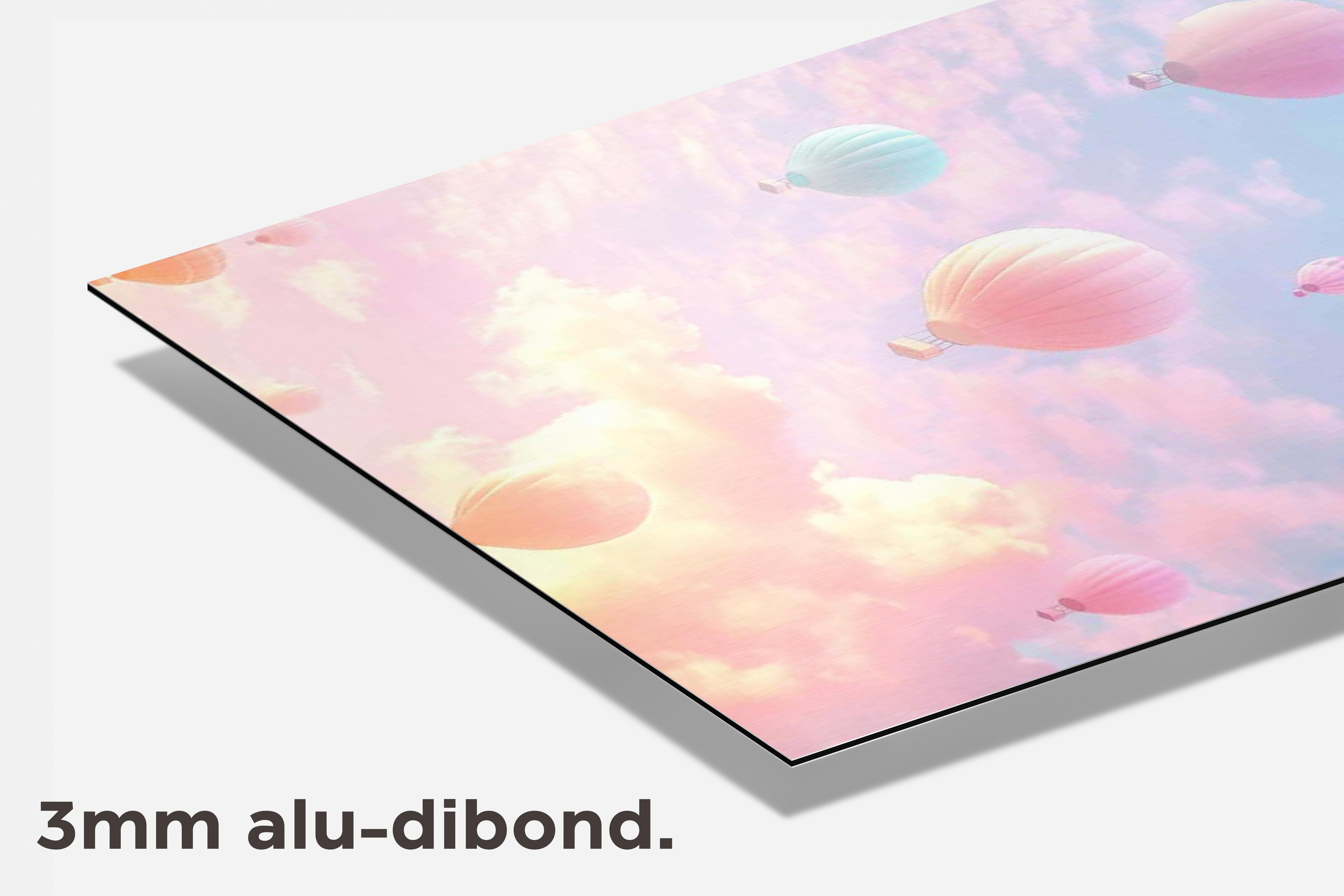 Luchtballonnen Pastel dibond detail