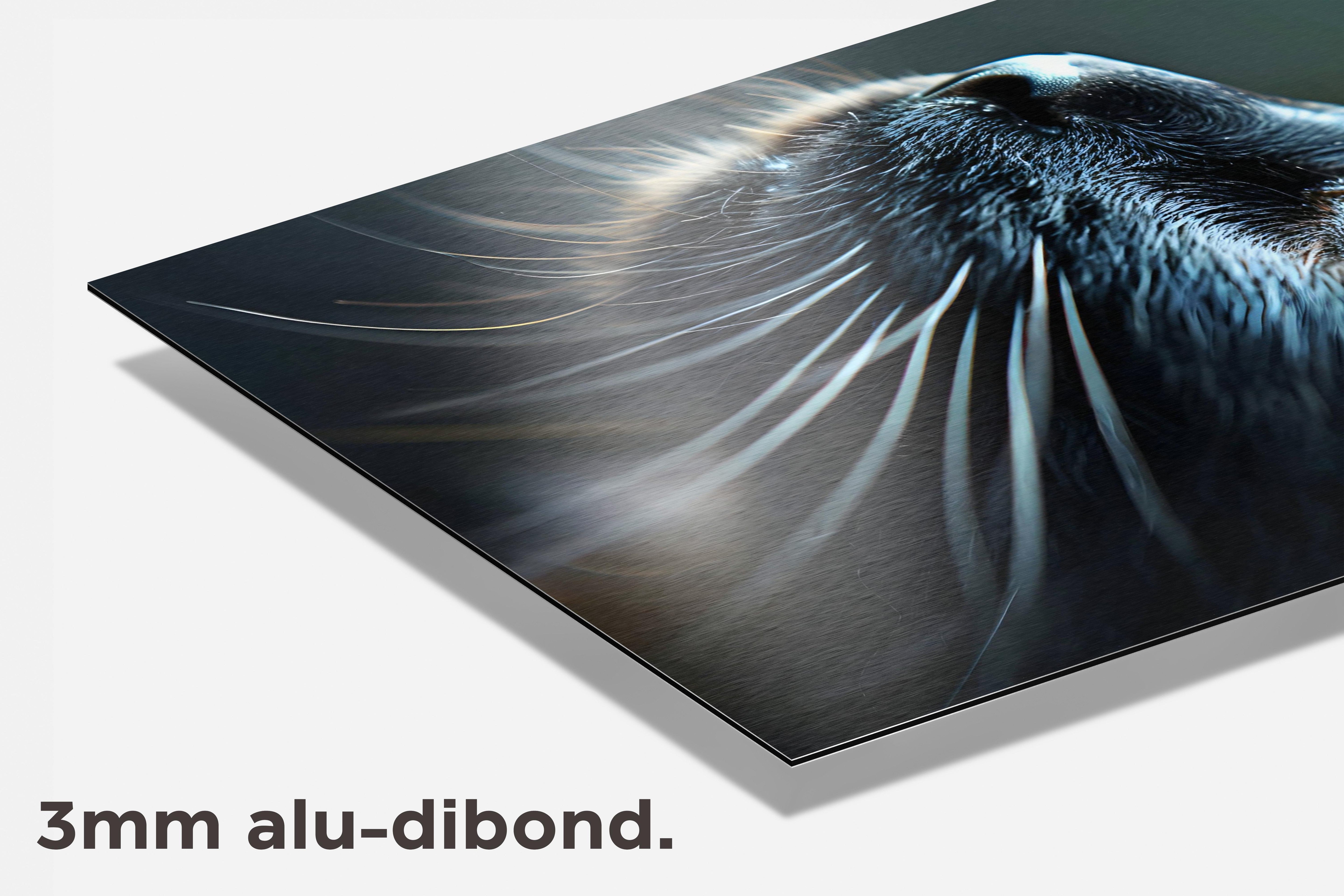 Kat dibond detail