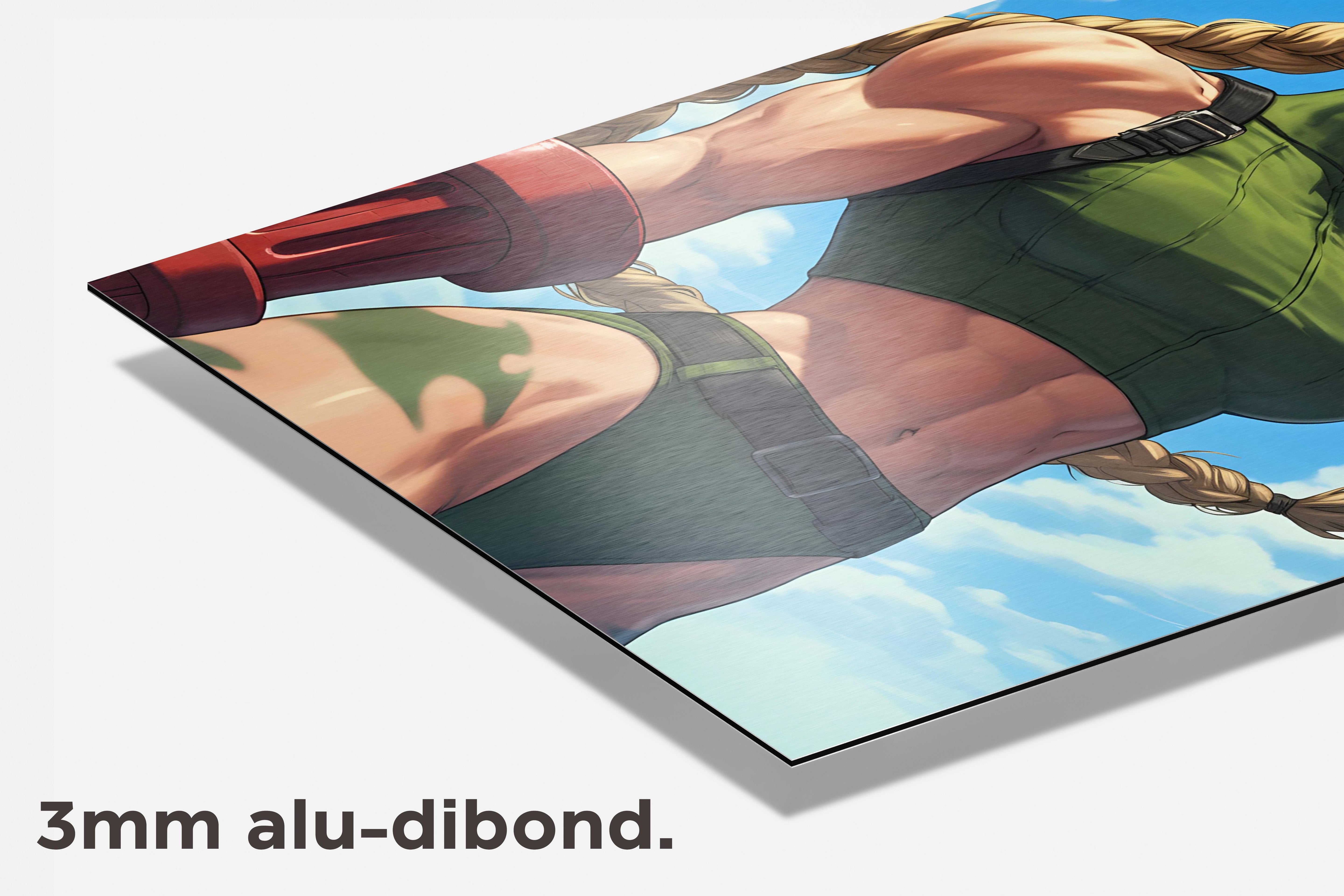 Cammy Street Fighter dibond detail
