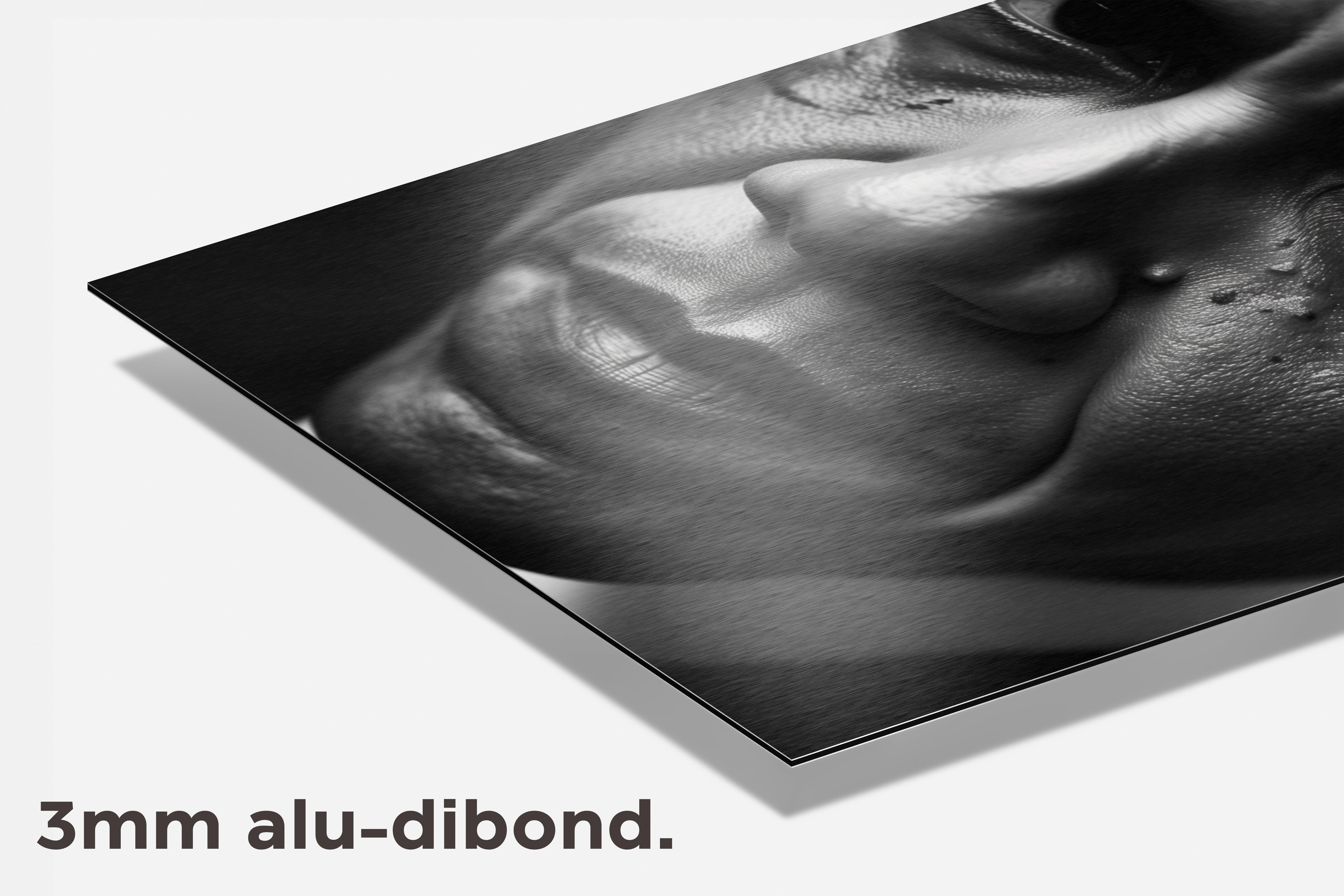 Barack Obama dibond detail