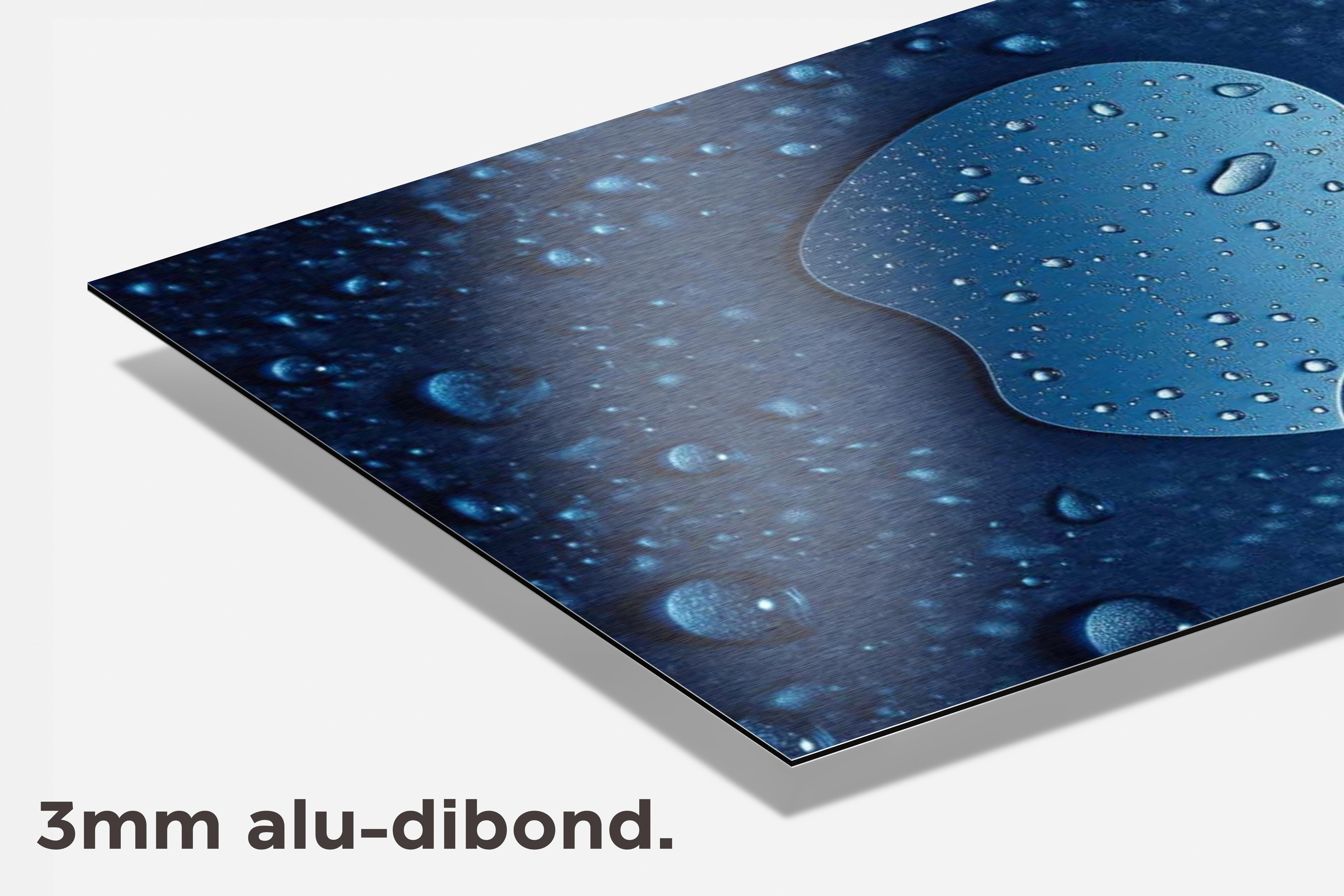 Apple Logo dibond detail