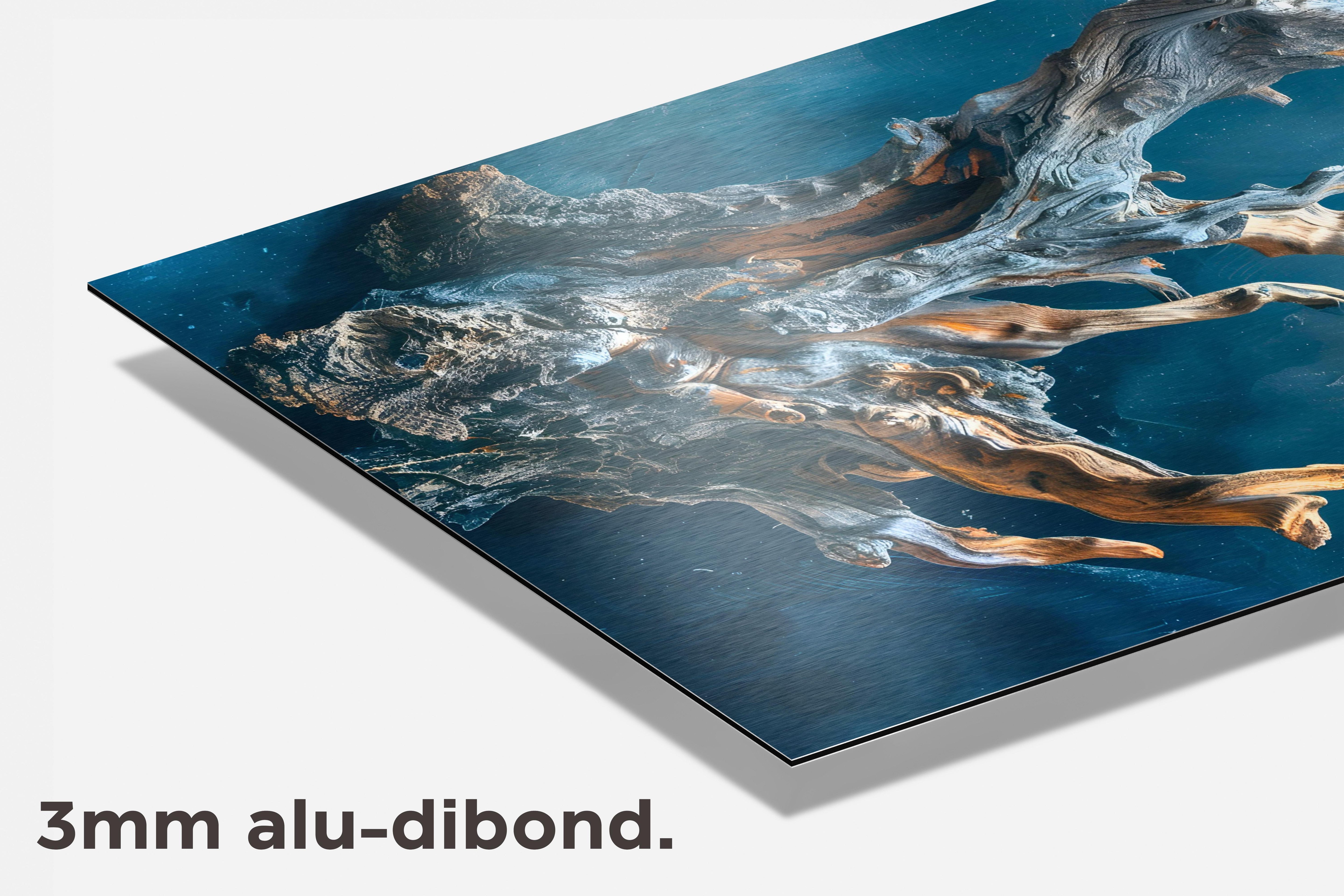 Drijfhout Blauw dibond detail