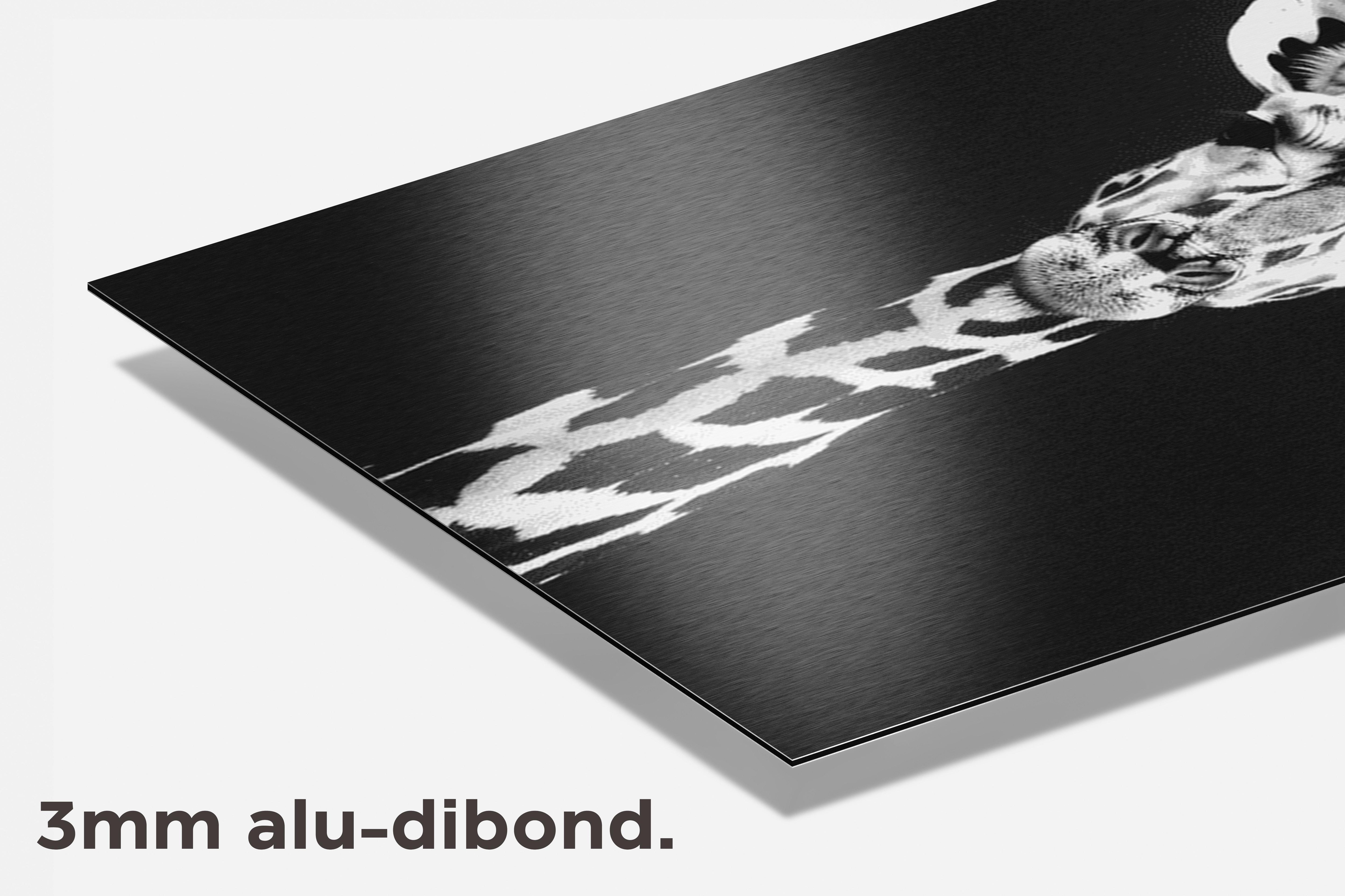 Giraffe dibond detail
