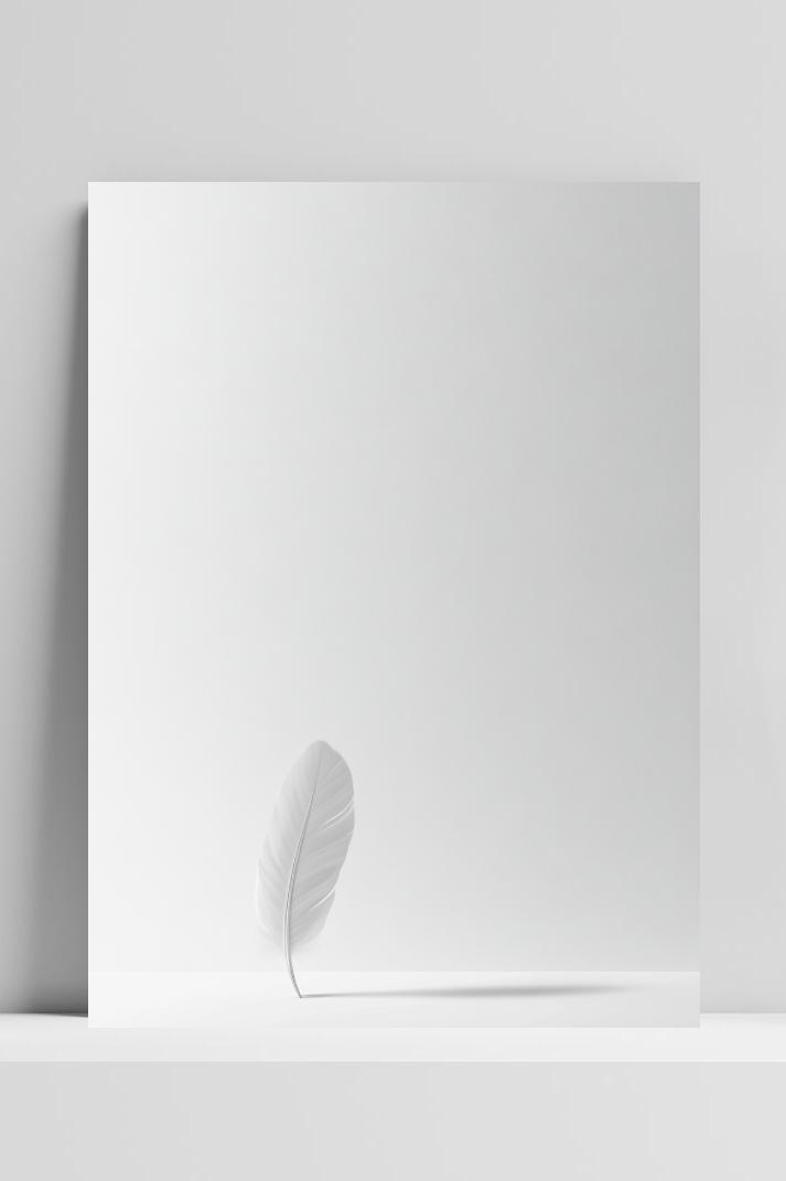 Feather Minimalistic op 3mm aluminium dibond