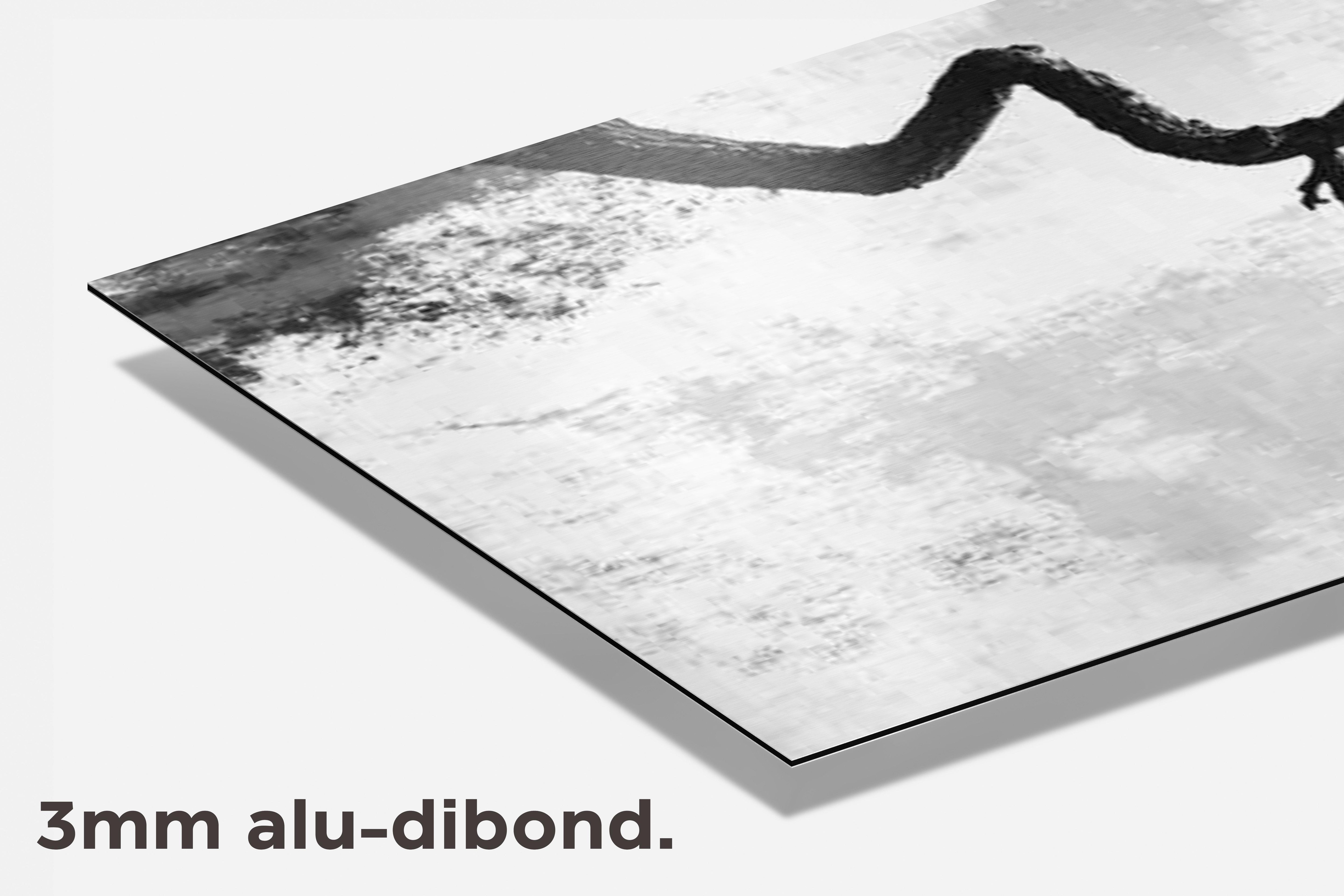 Boom dibond detail