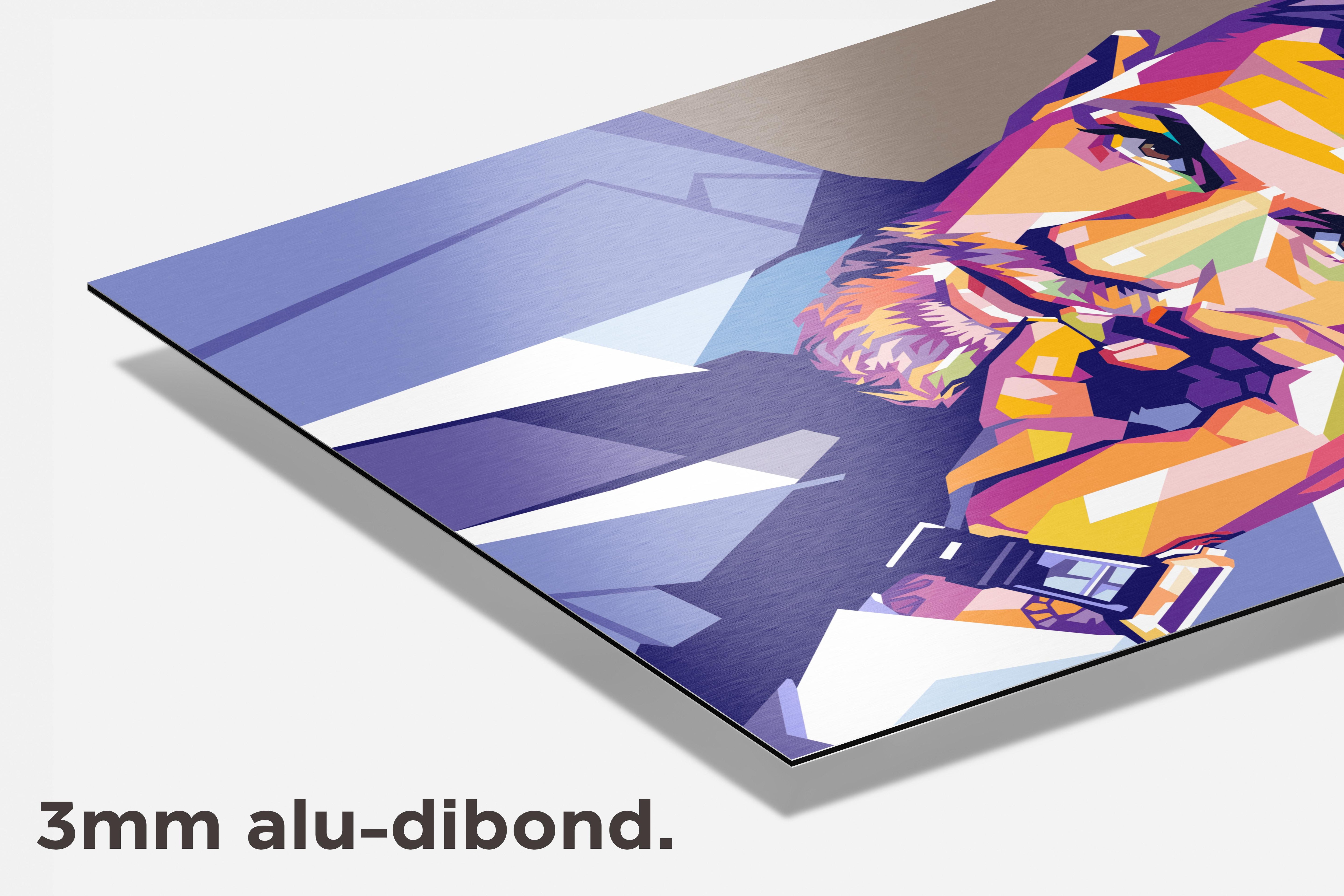 Conor McGregor Pop Art dibond detail