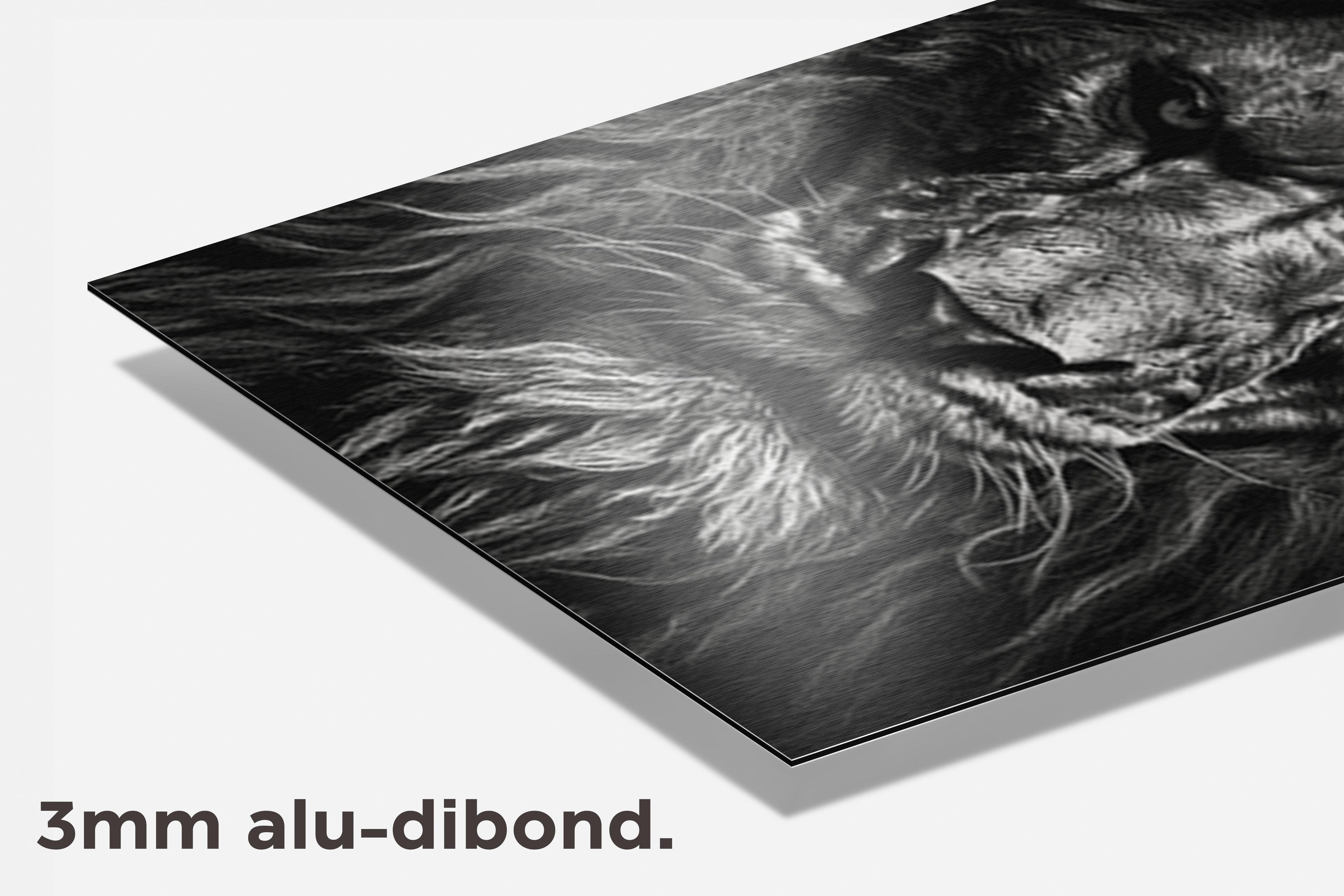 Leeuwenposter Zwart Wit dibond detail