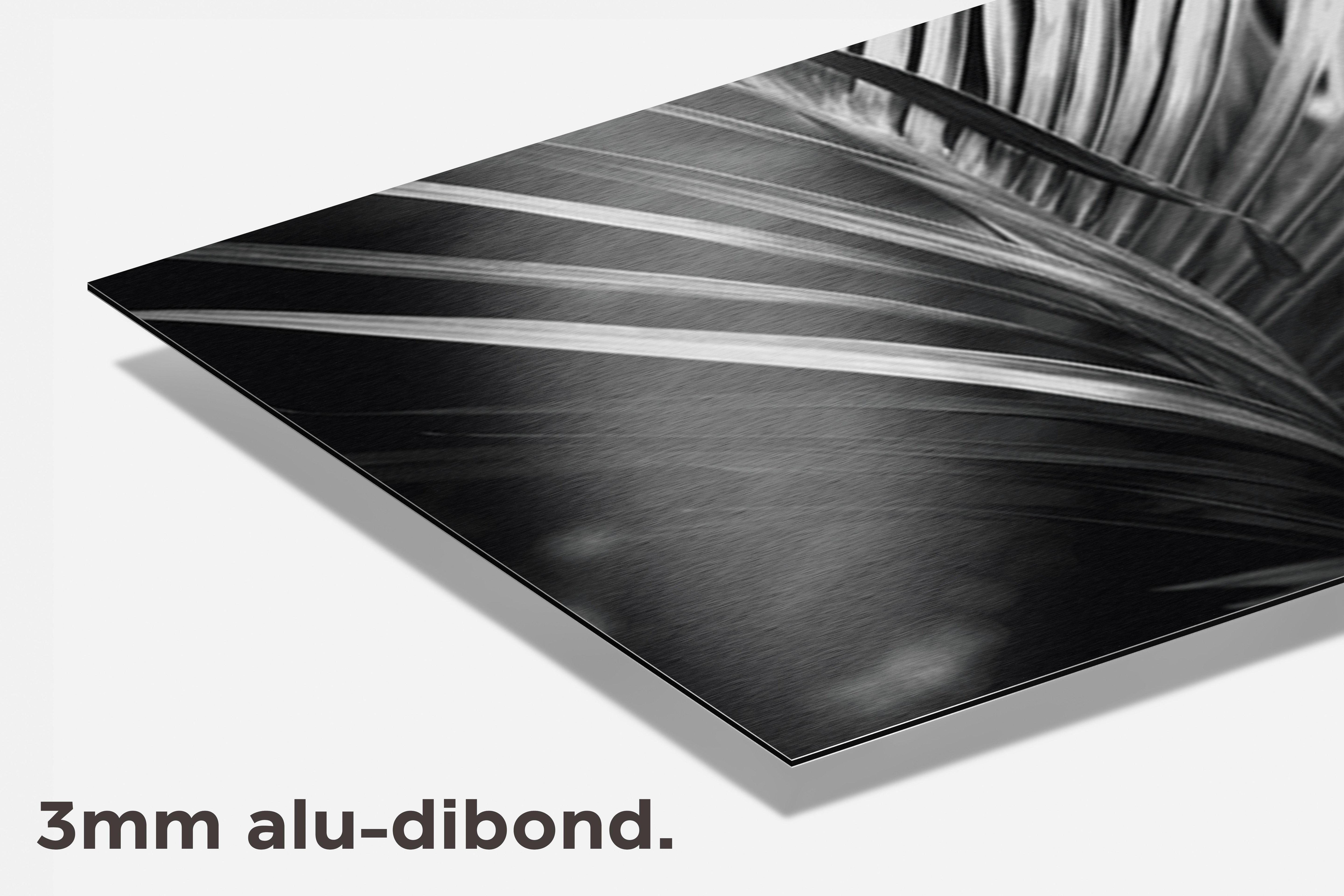 Palmblad Zwart Wit dibond detail