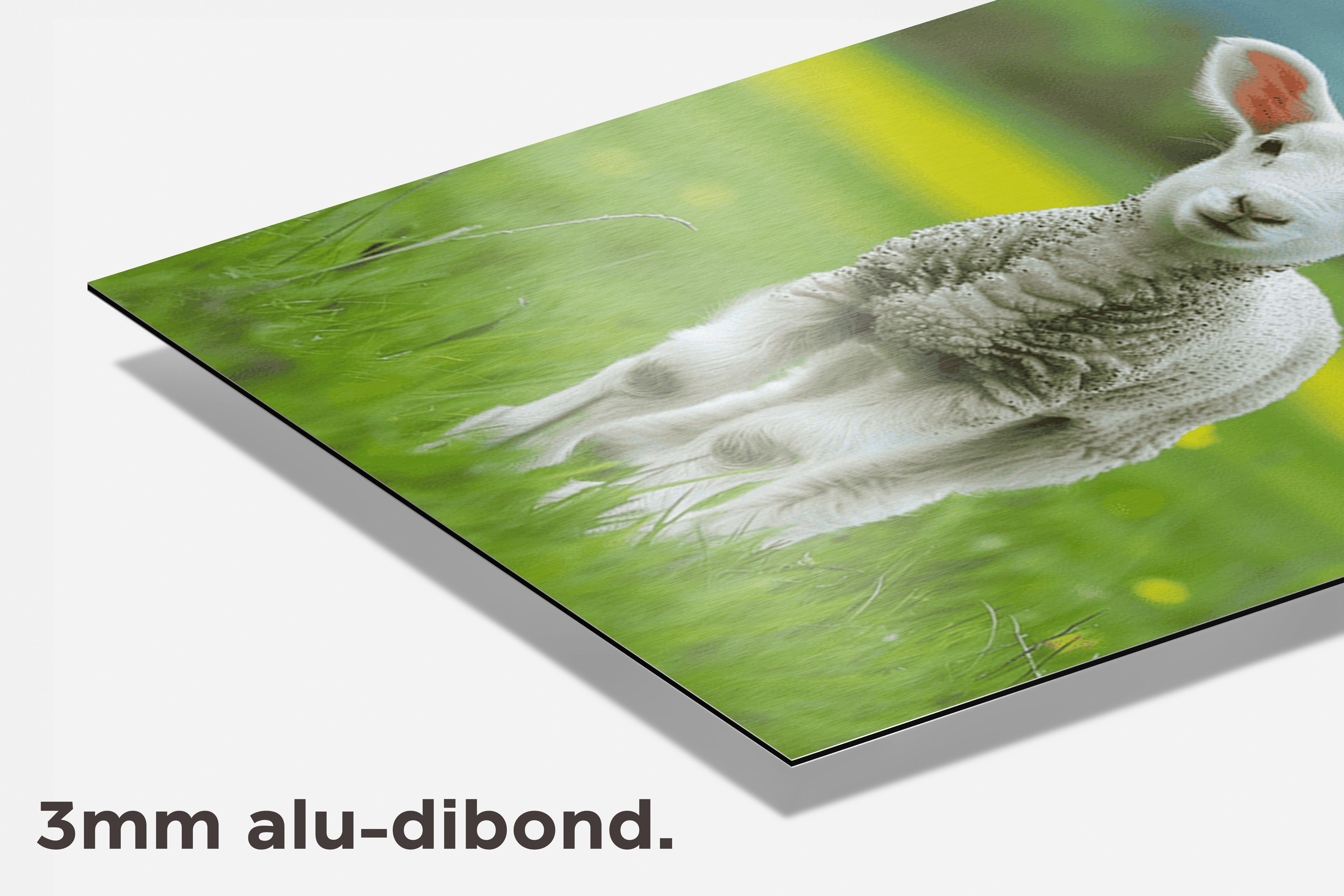 Lam dibond detail