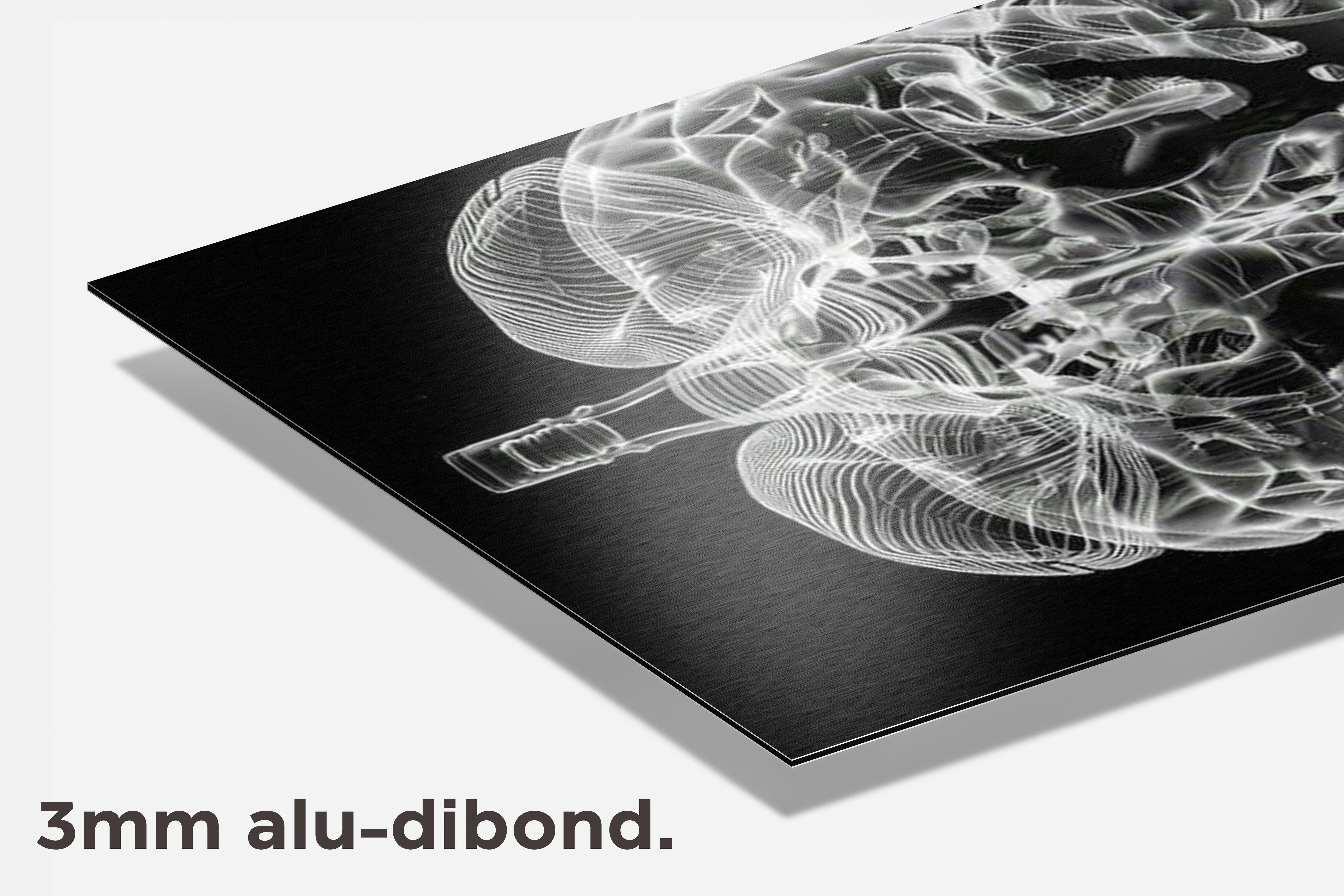 Brein Zwart Wit dibond detail