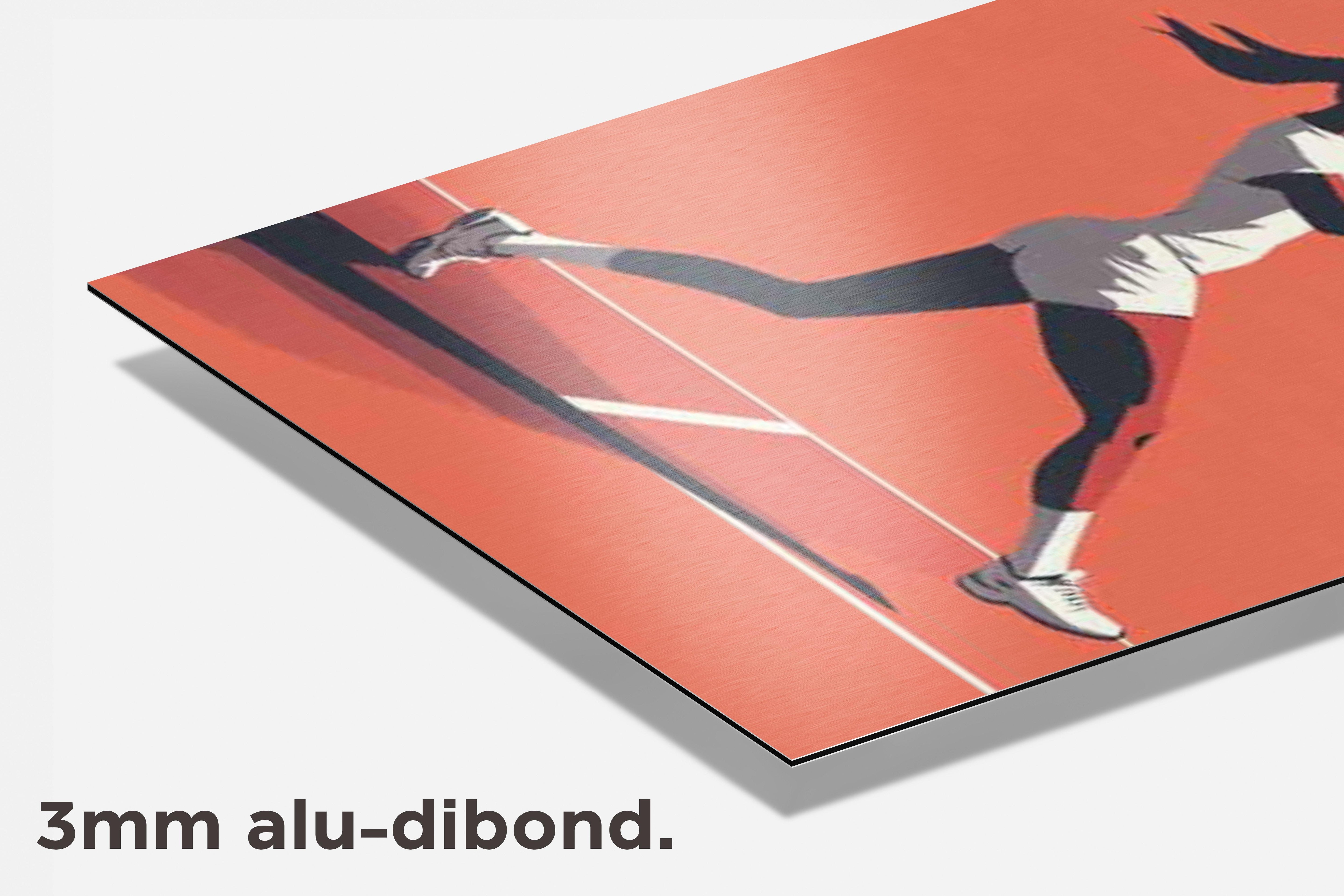 Tennis dibond detail