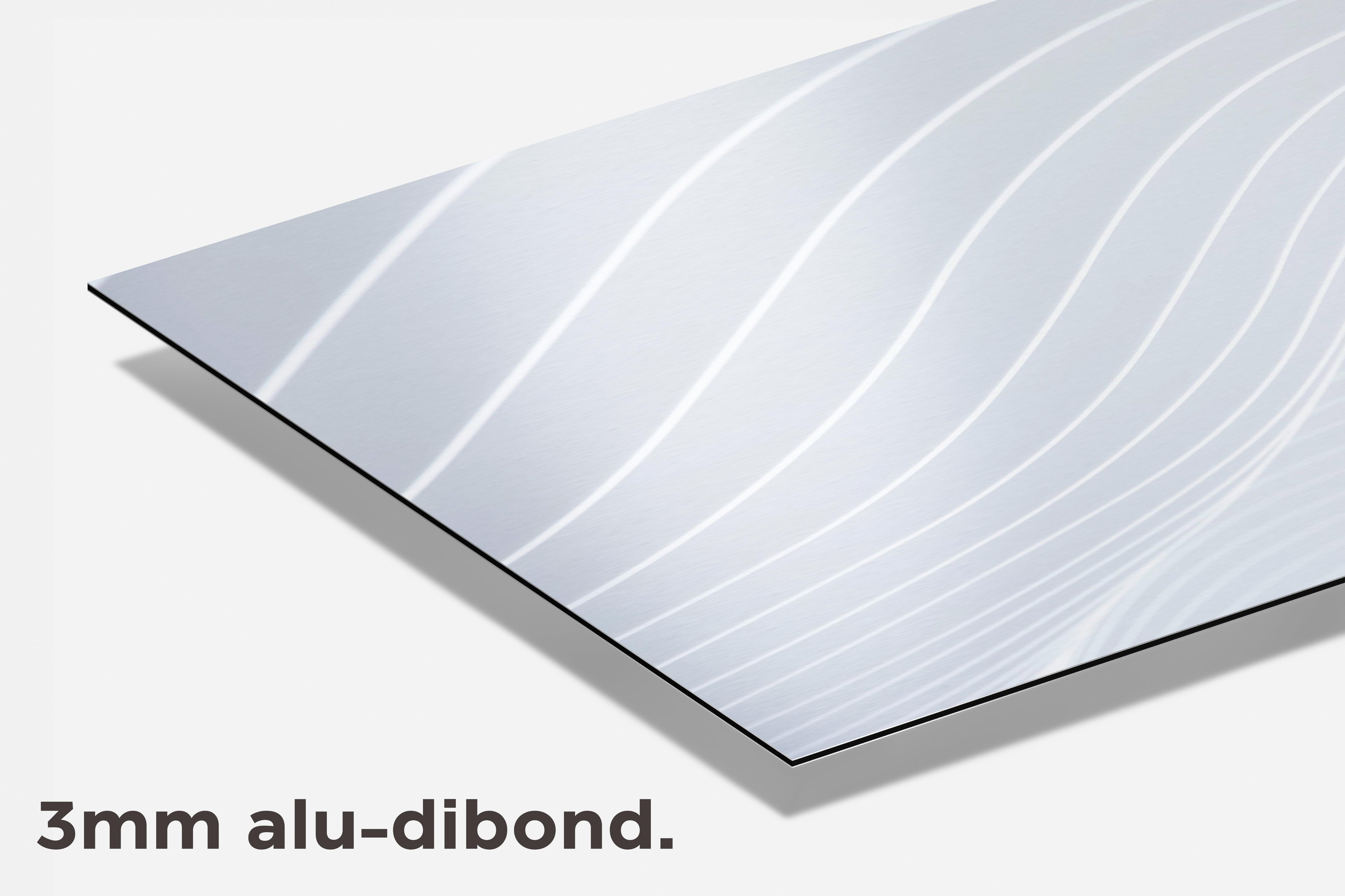 Witte Lijnen dibond detail