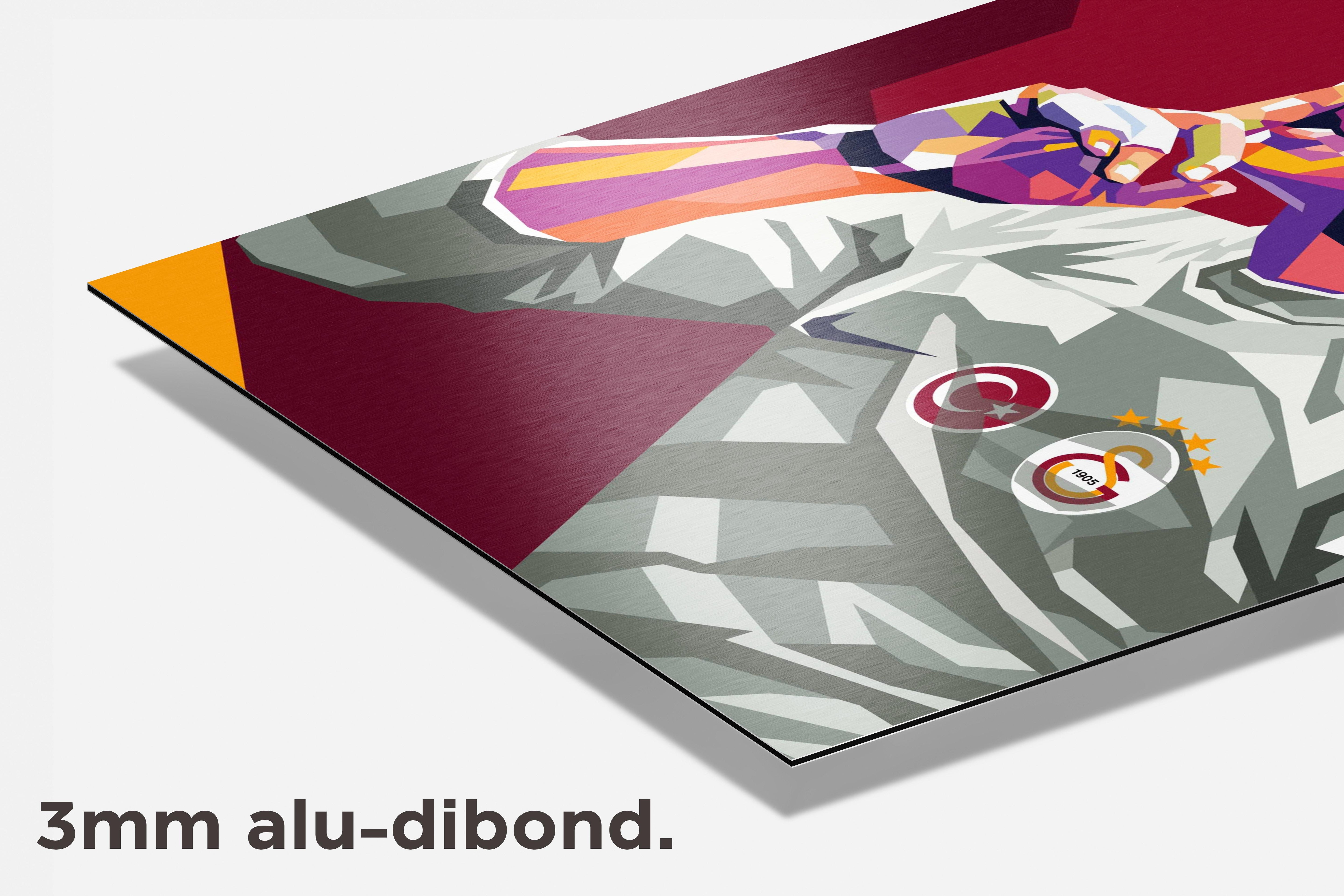 Muslera R dibond detail