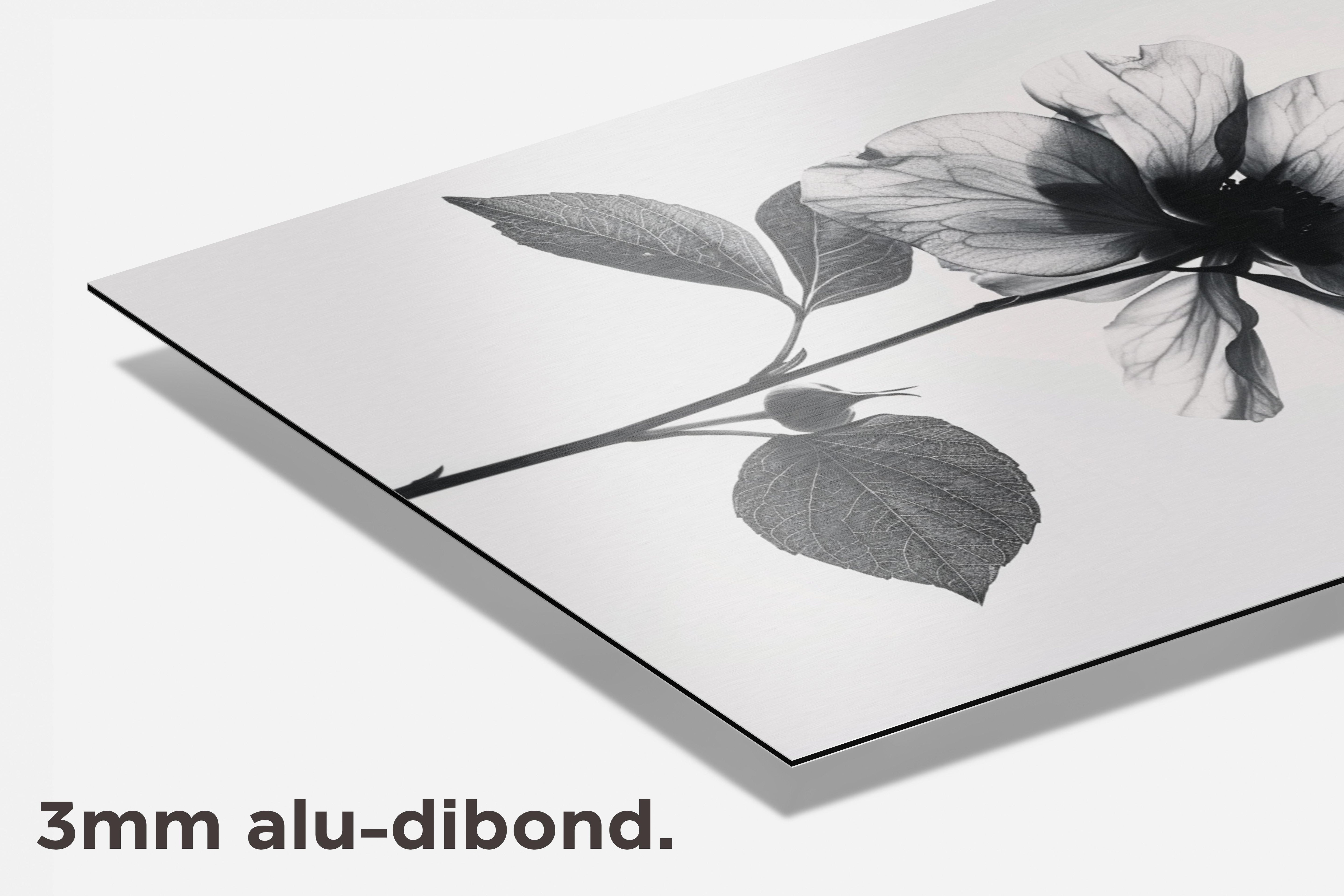 Bloem Zwart Wit dibond detail