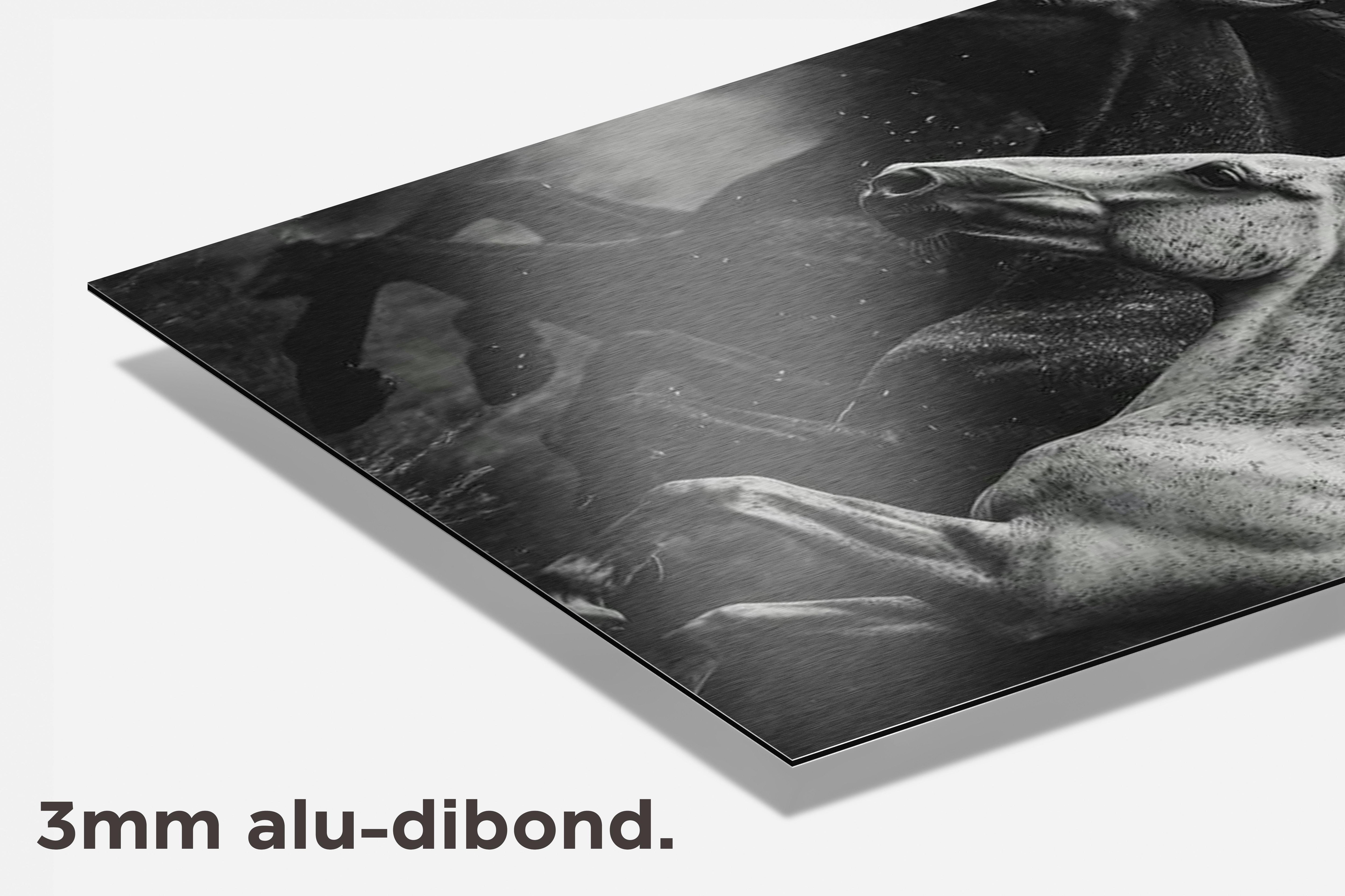 Paarden Zwart-Wit dibond detail