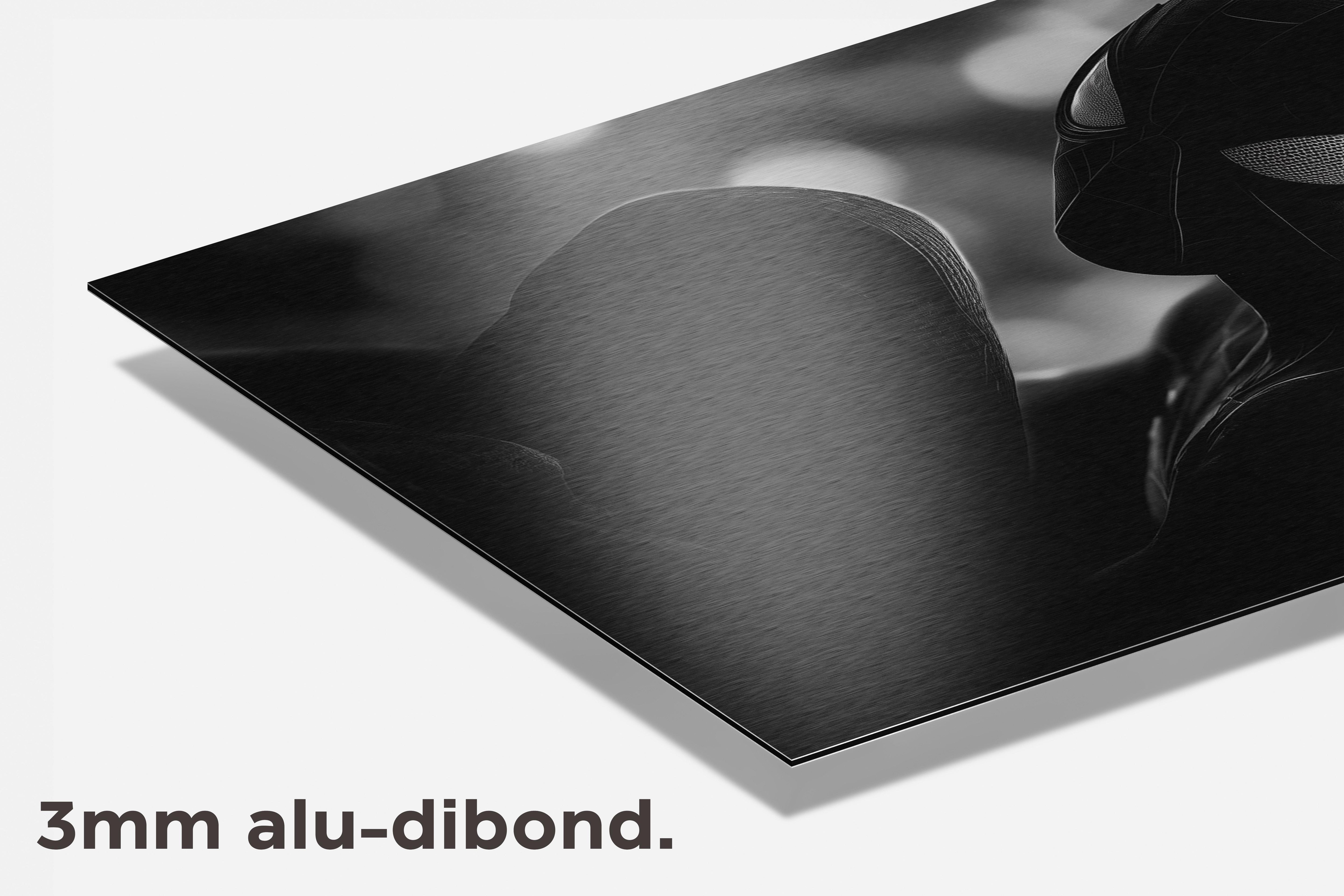 Spiderman dibond detail