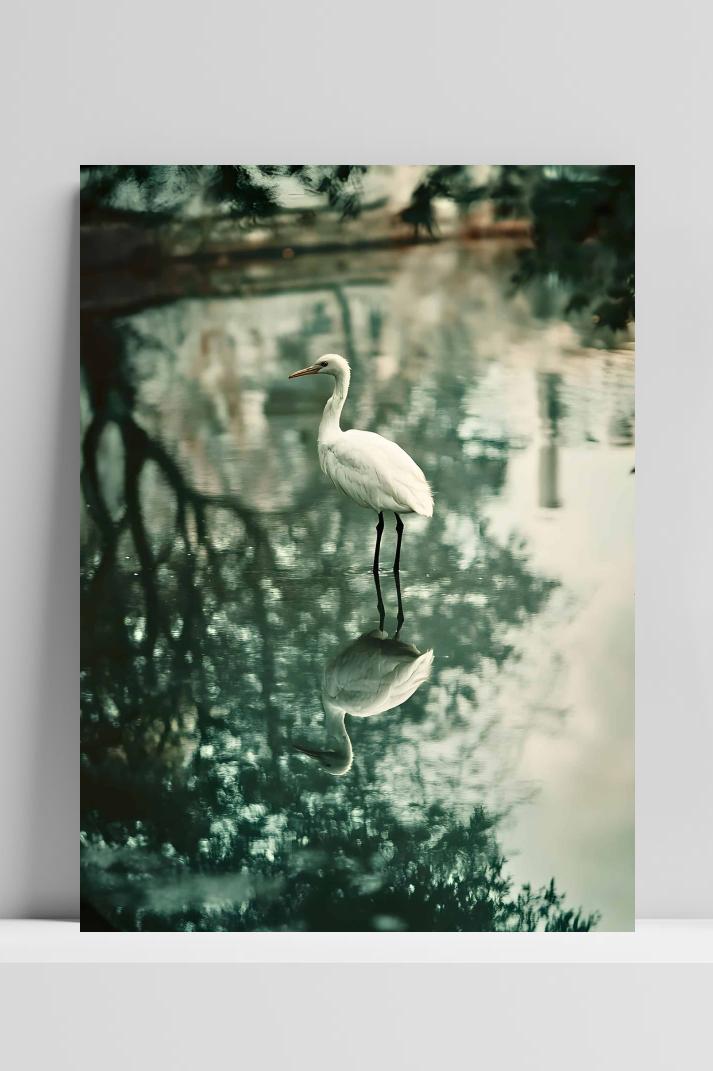 Reiger Vogel Meer op 3mm aluminium dibond