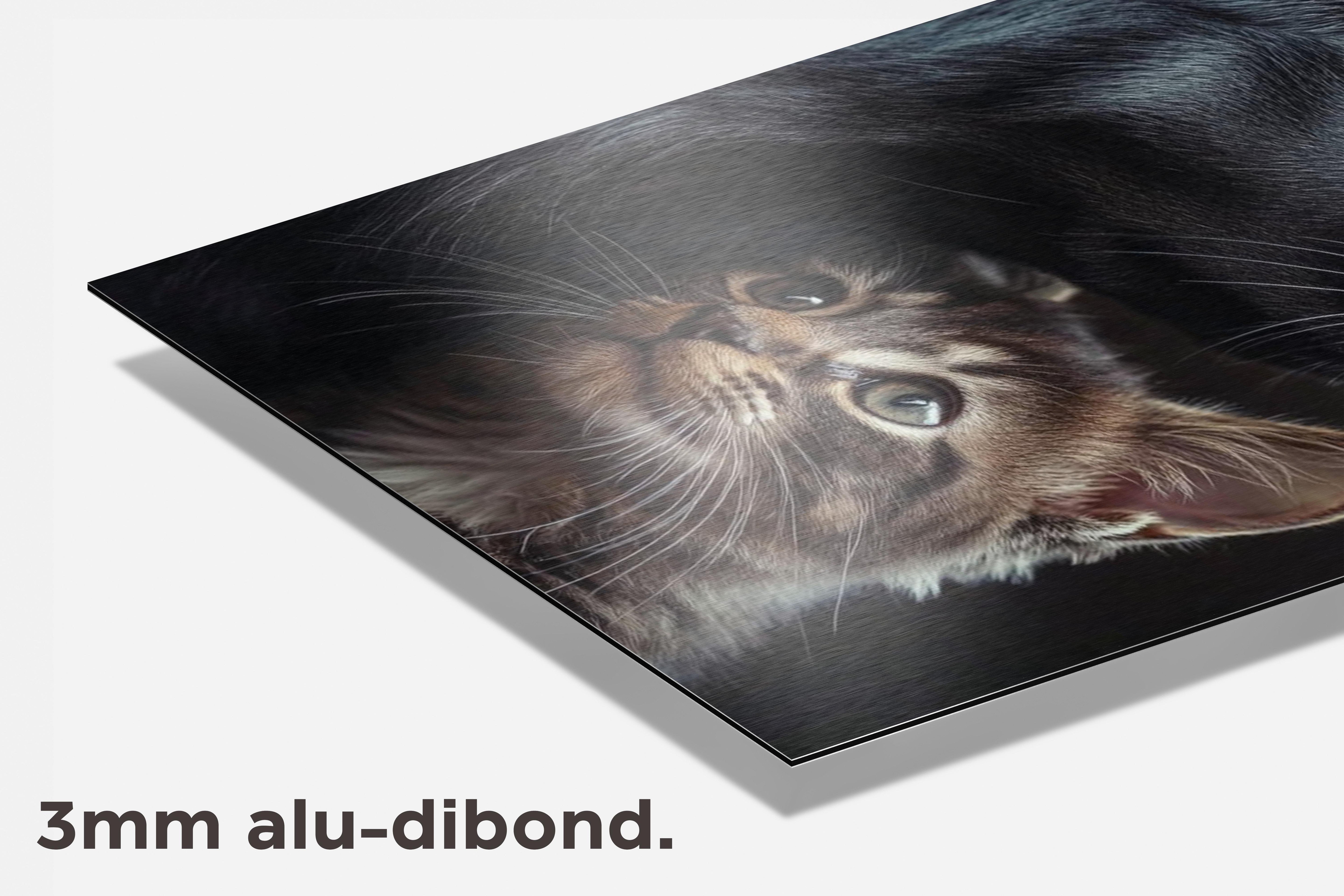 Hond Kat dibond detail
