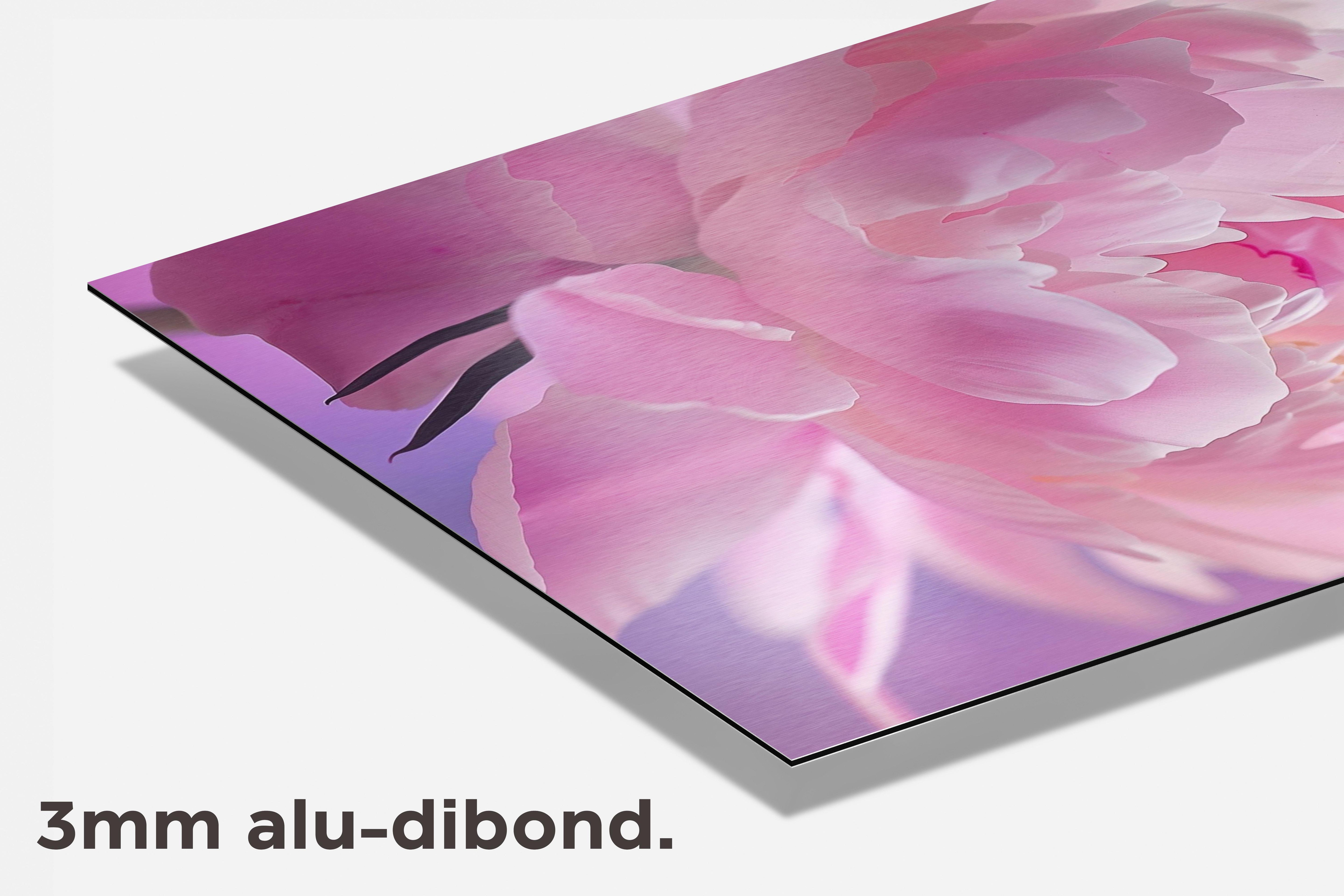Pioenroos dibond detail