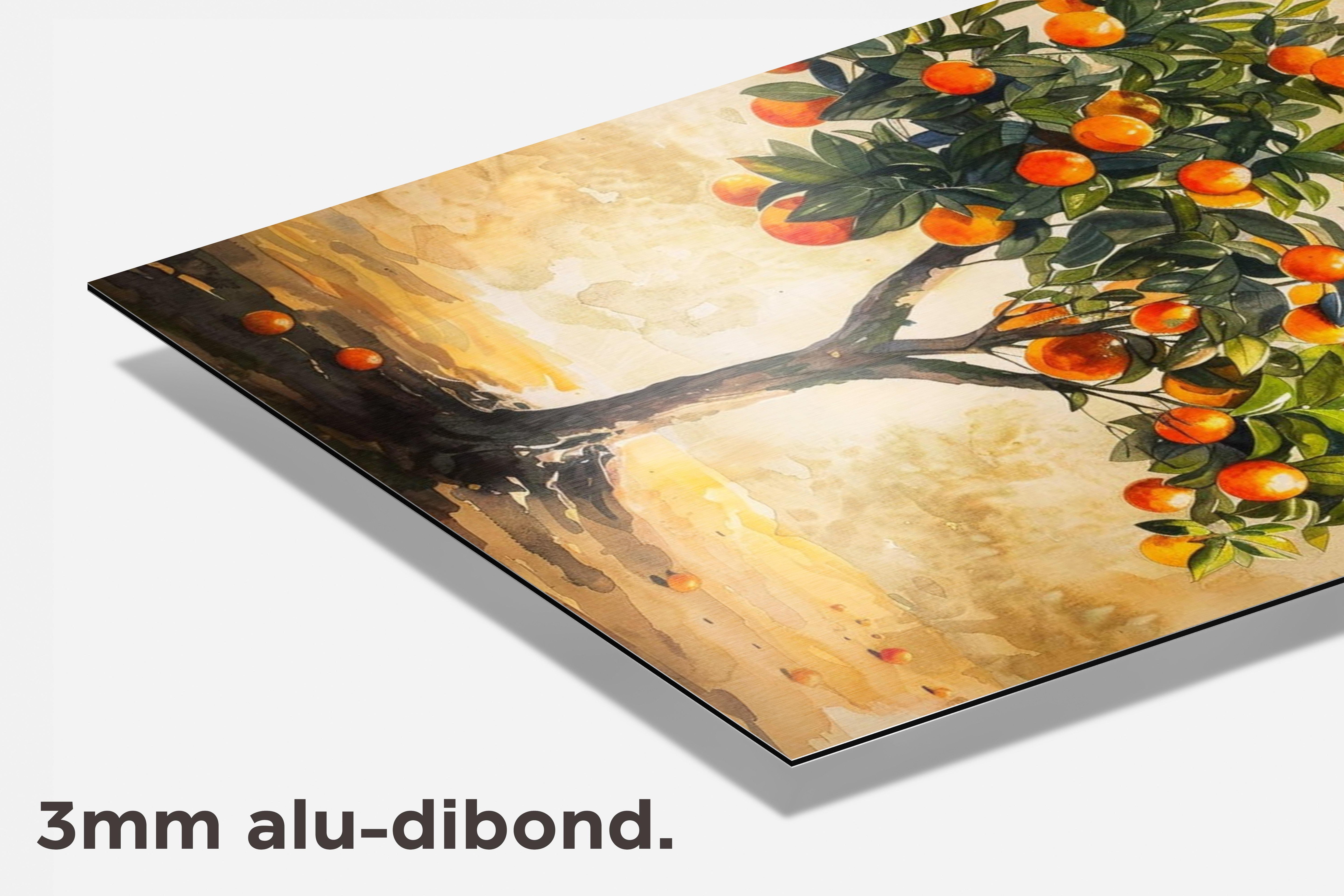Sinaasappelboom dibond detail