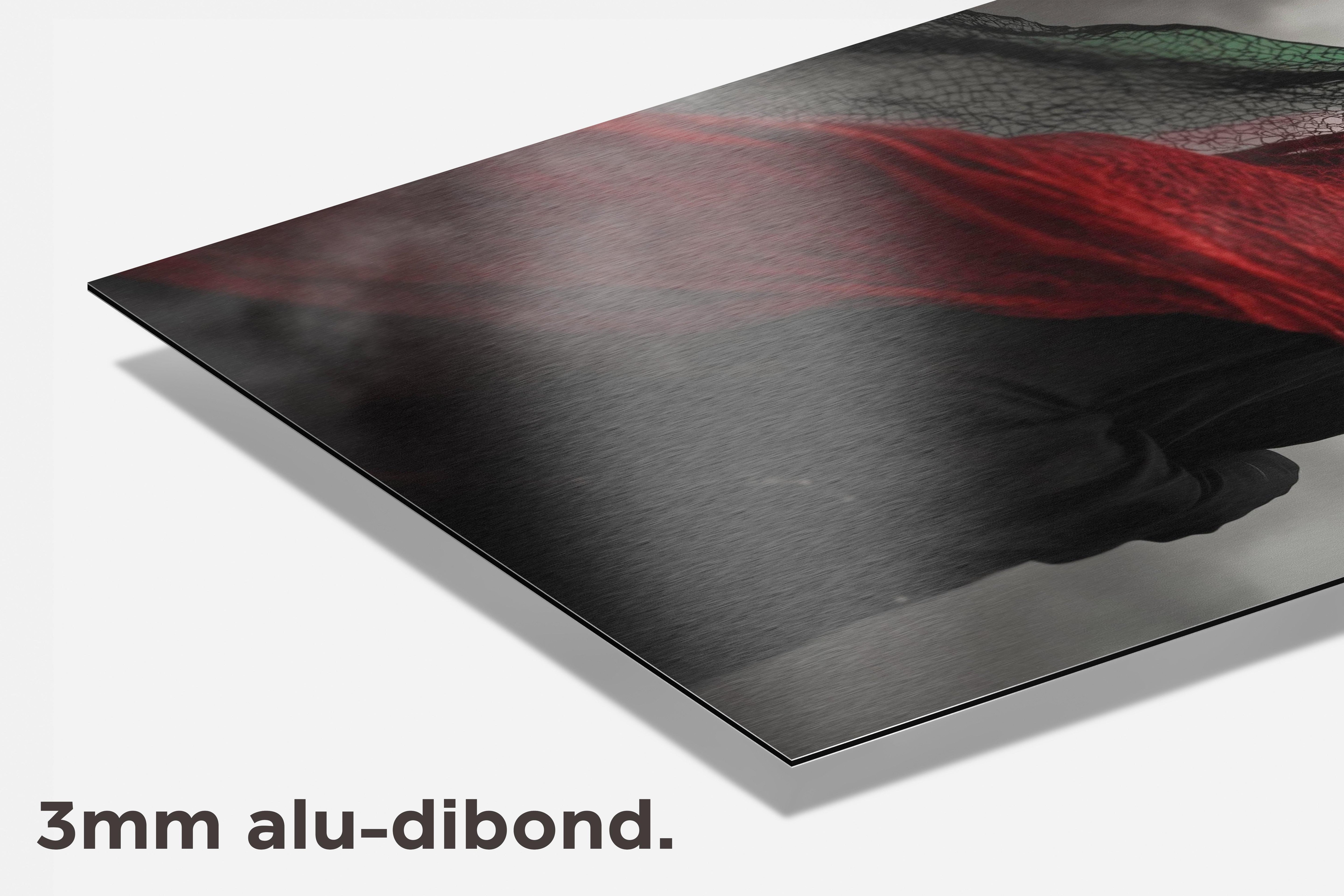 Palestina Sjaal dibond detail