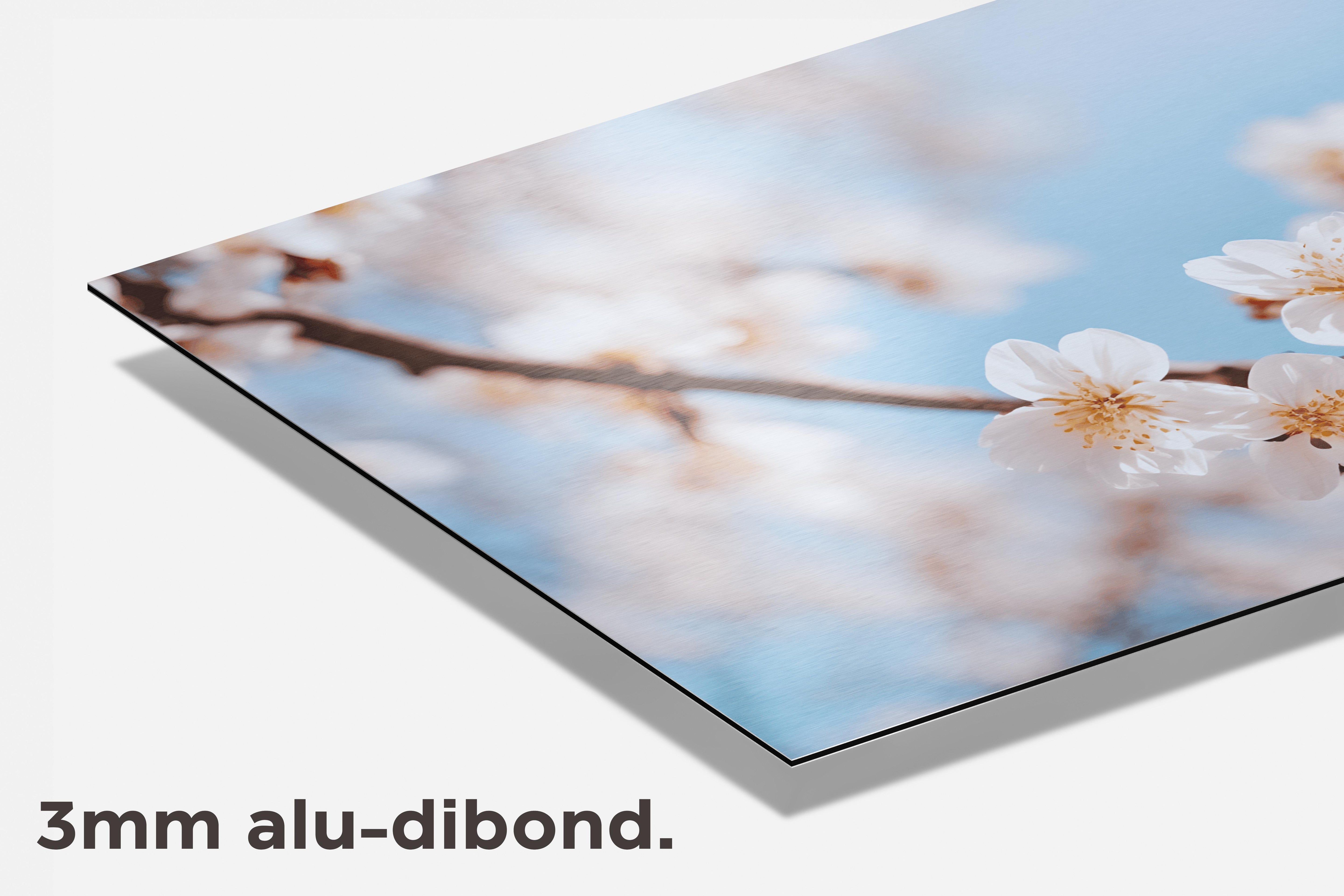 Lentebloemen dibond detail