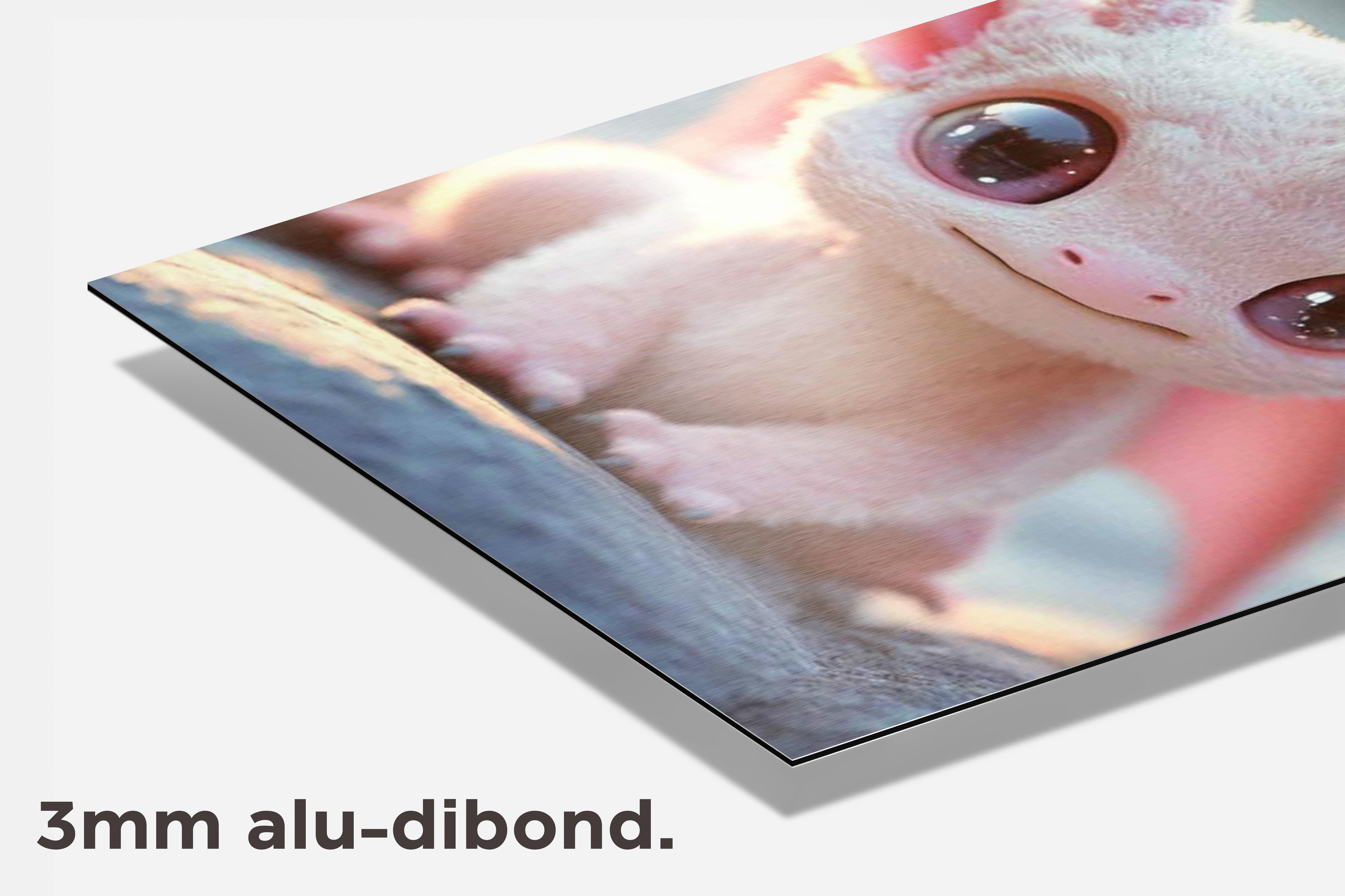Baby Draak dibond detail