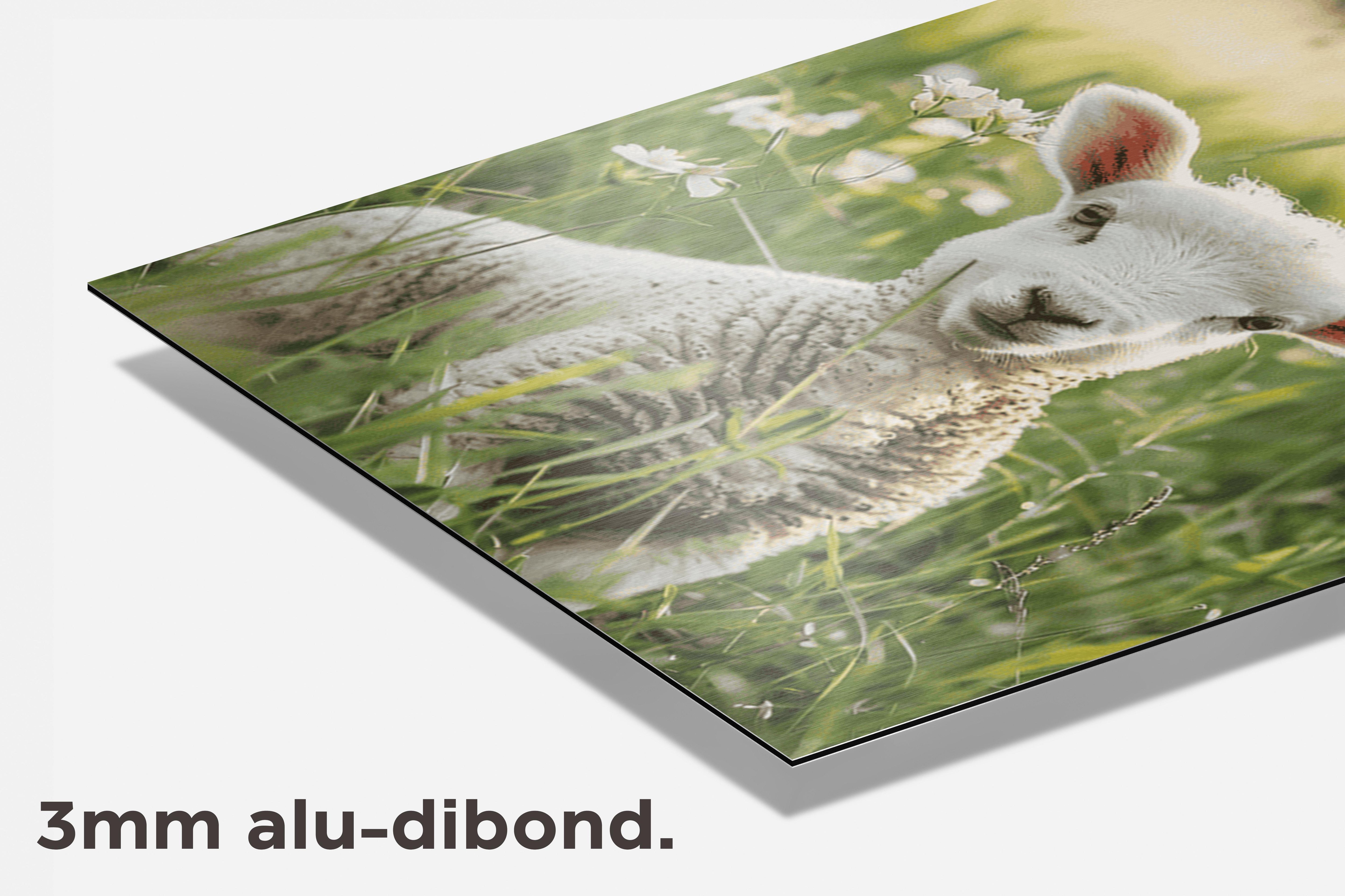 Lam Natuur dibond detail