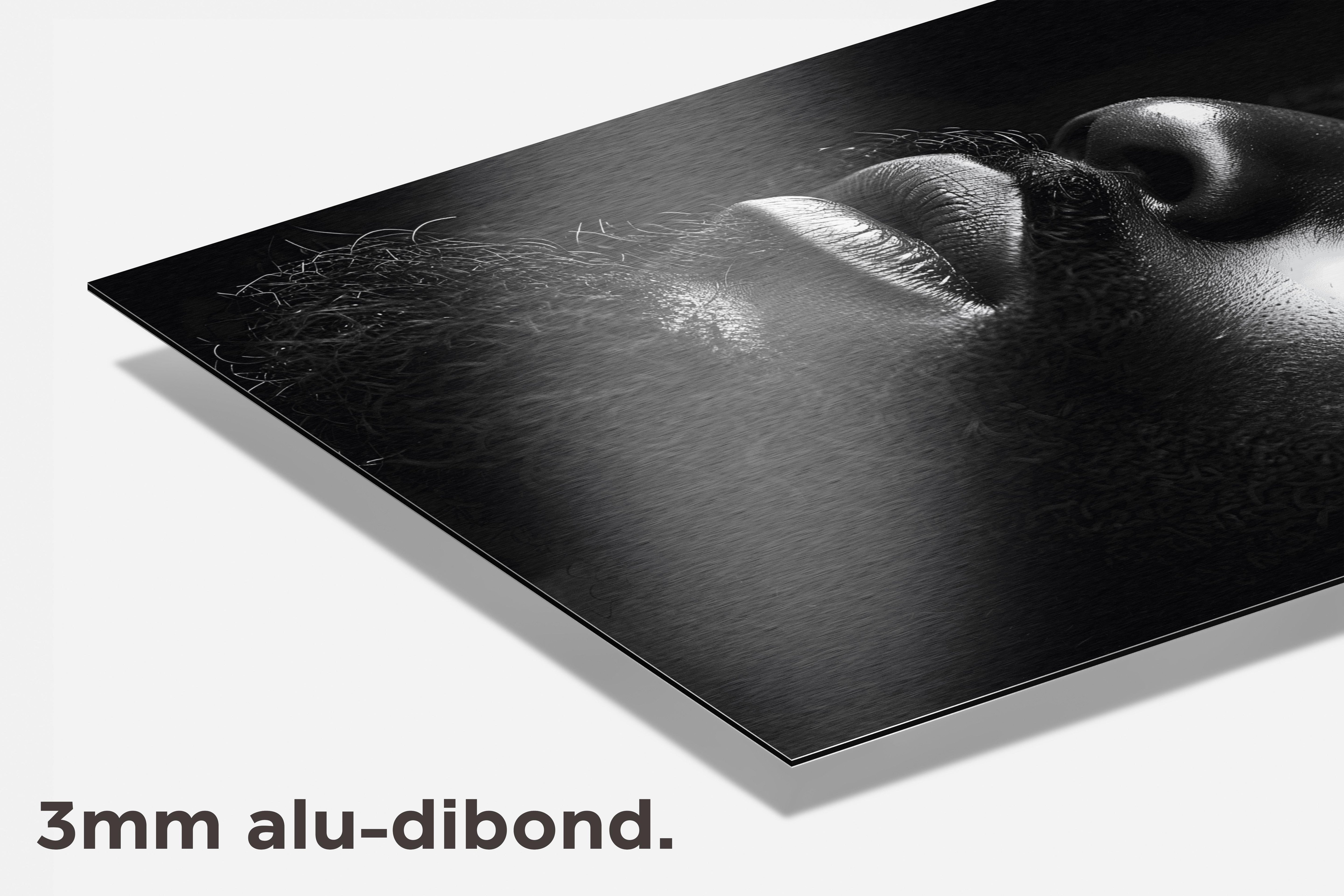 Afrikaanse Man dibond detail