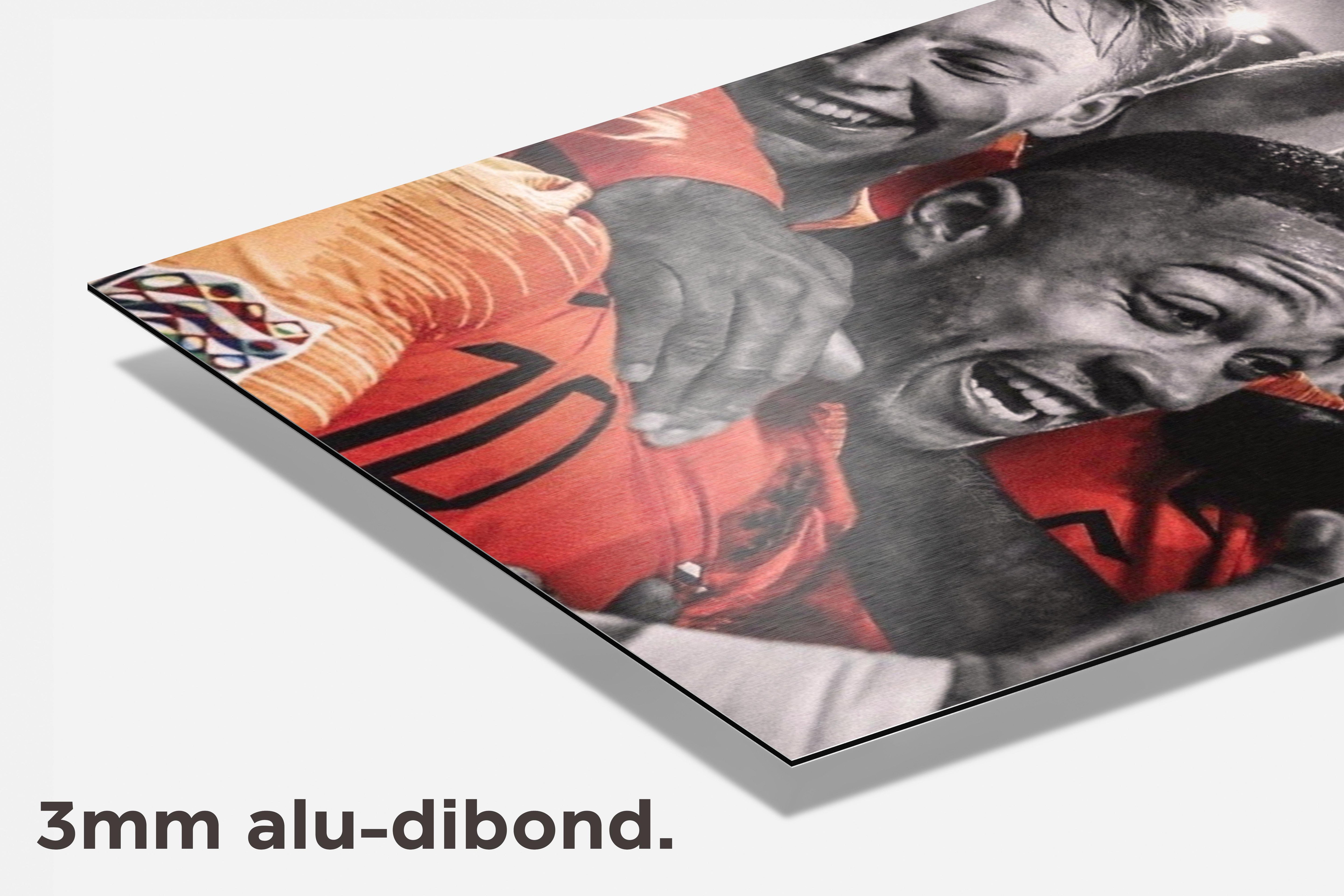 Nederlands Elftal dibond detail