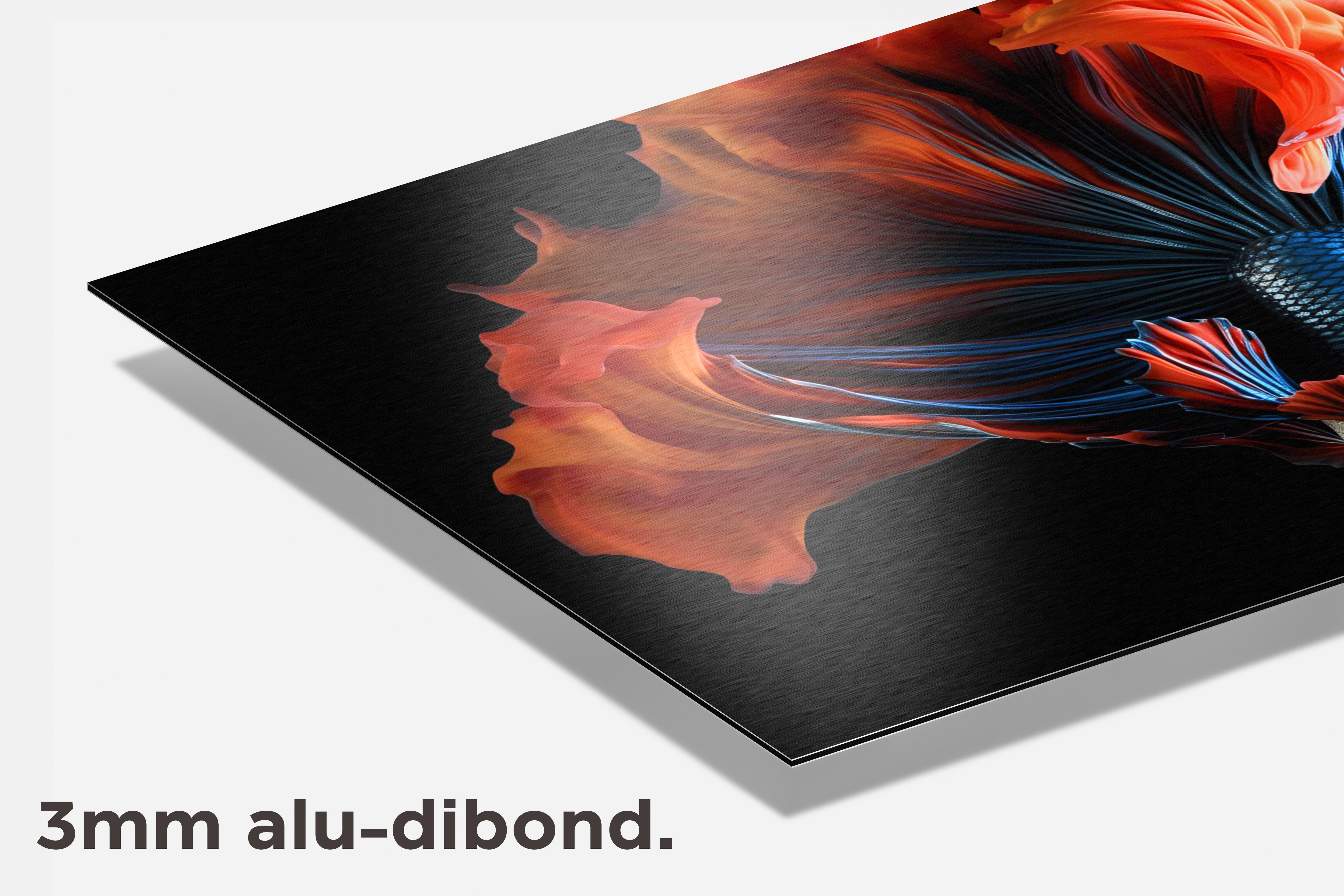 Betta Vrouw dibond detail