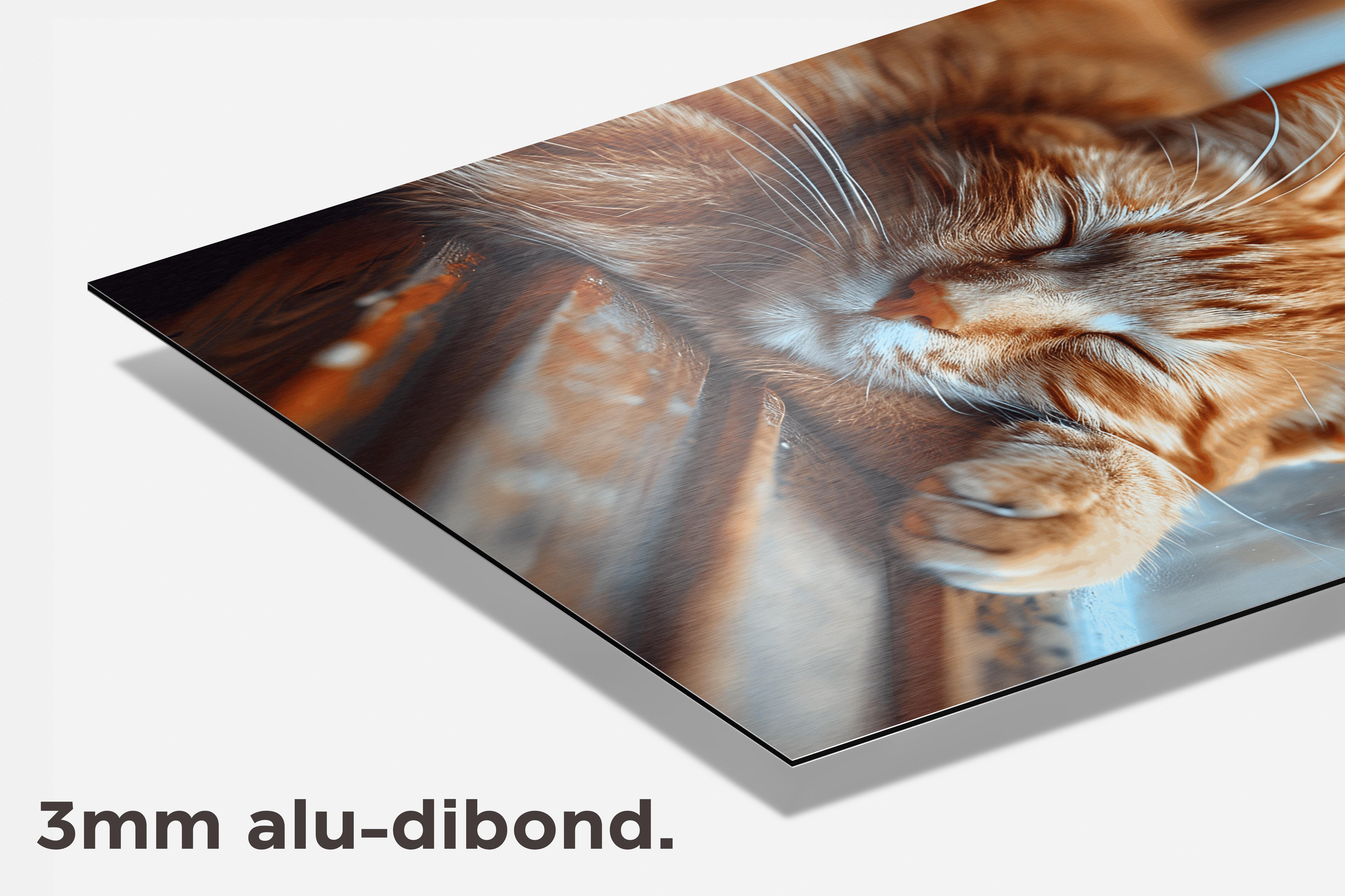 Rode Kater dibond detail